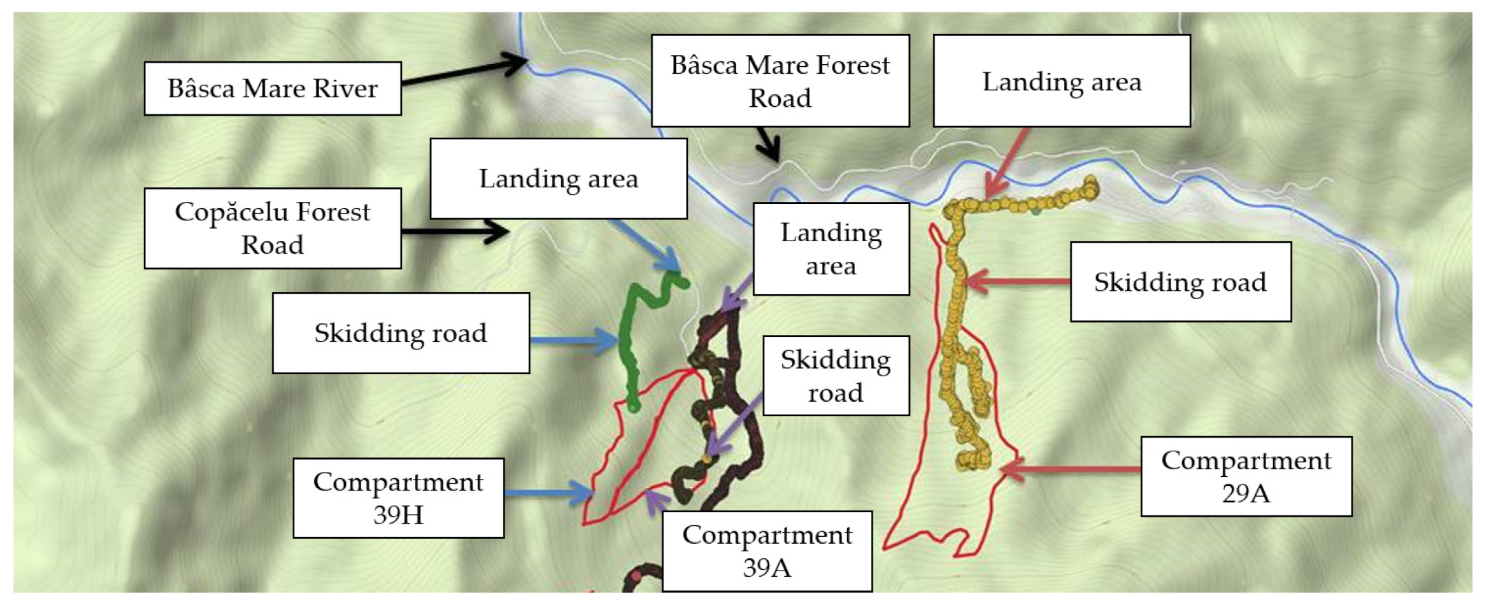 Forests 14 00265 g001 Forests 14 00265 g001