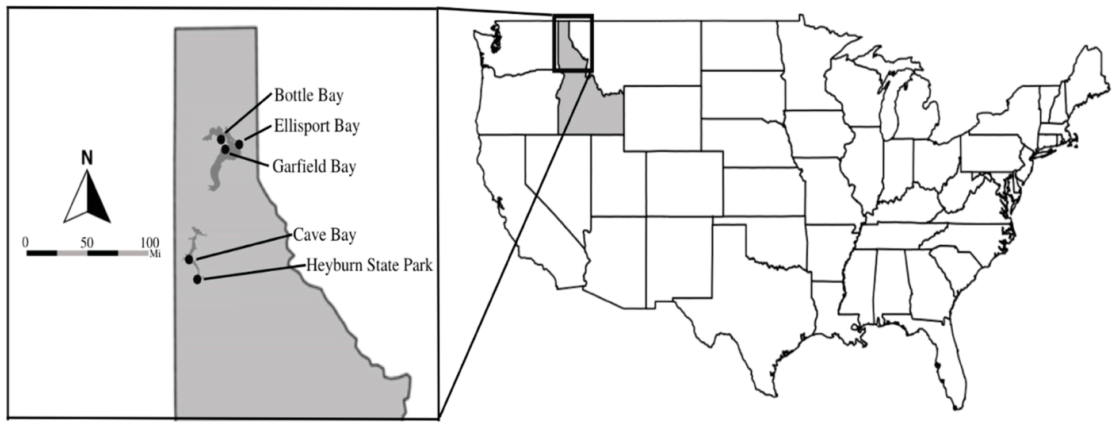Forests 14 00266 g001 Forests 14 00266 g001