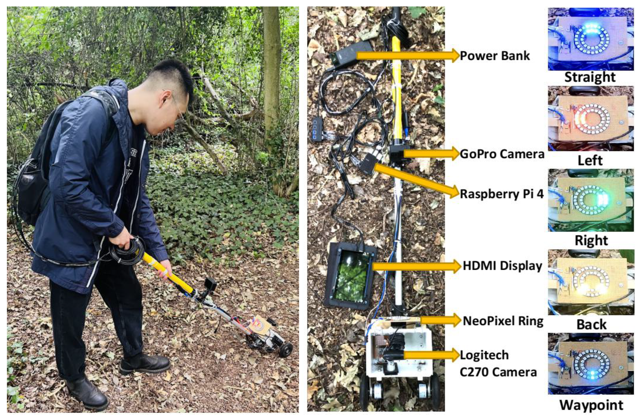 Forests 14 00268 g005