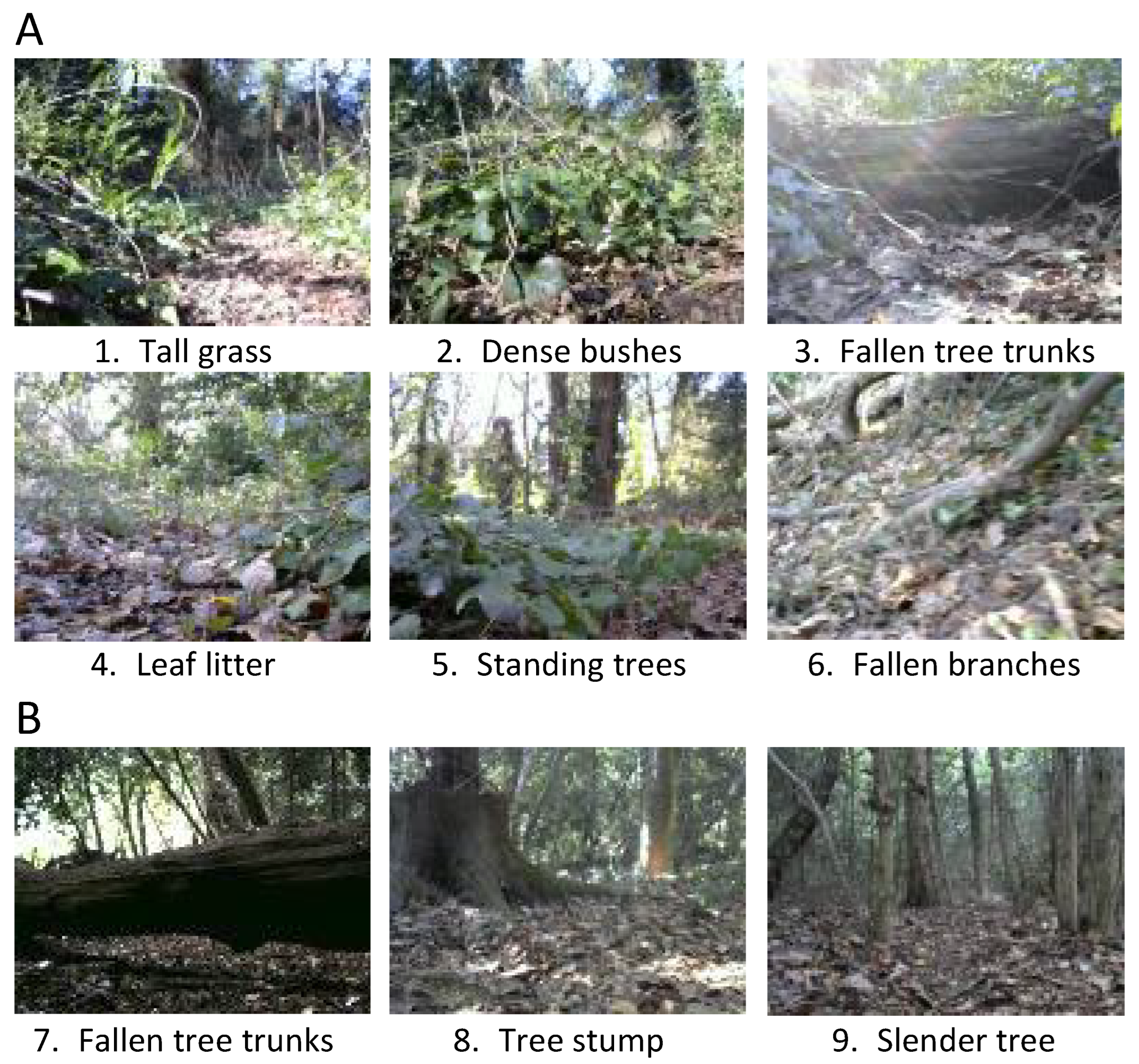 Forests 14 00268 g006