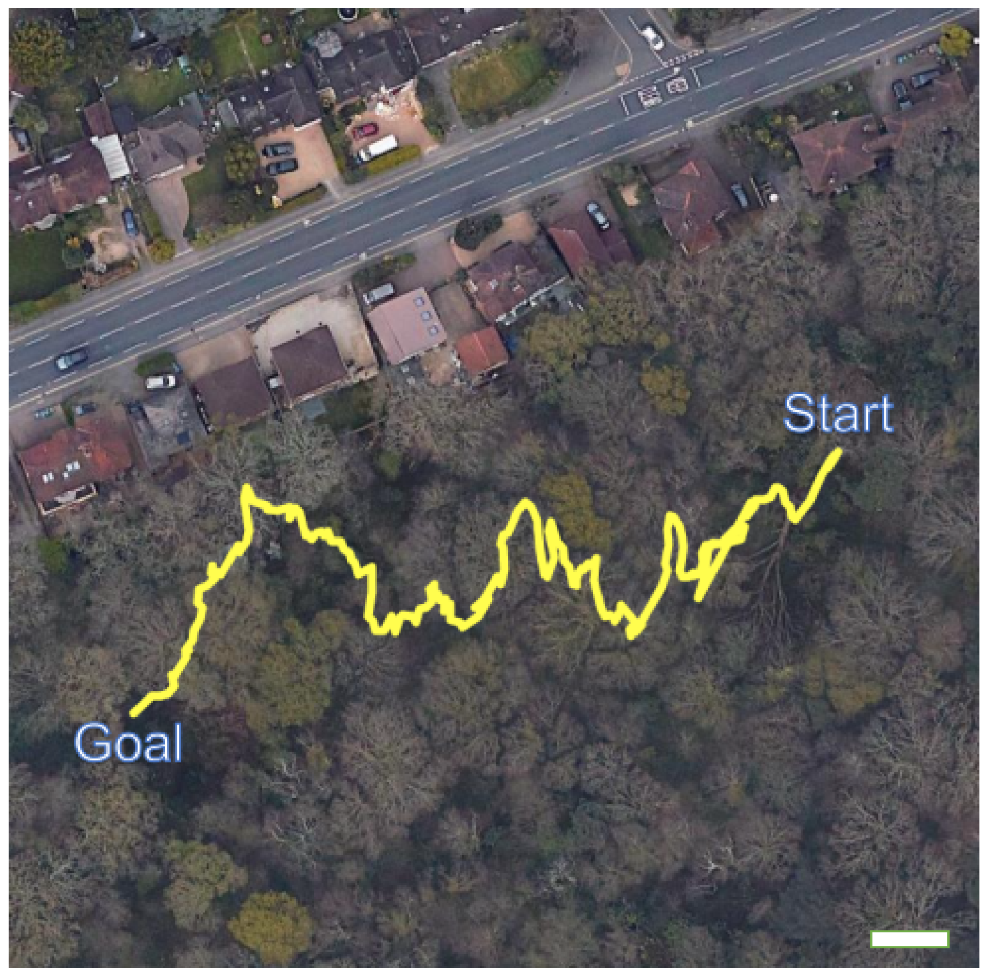 Forests 14 00268 g007