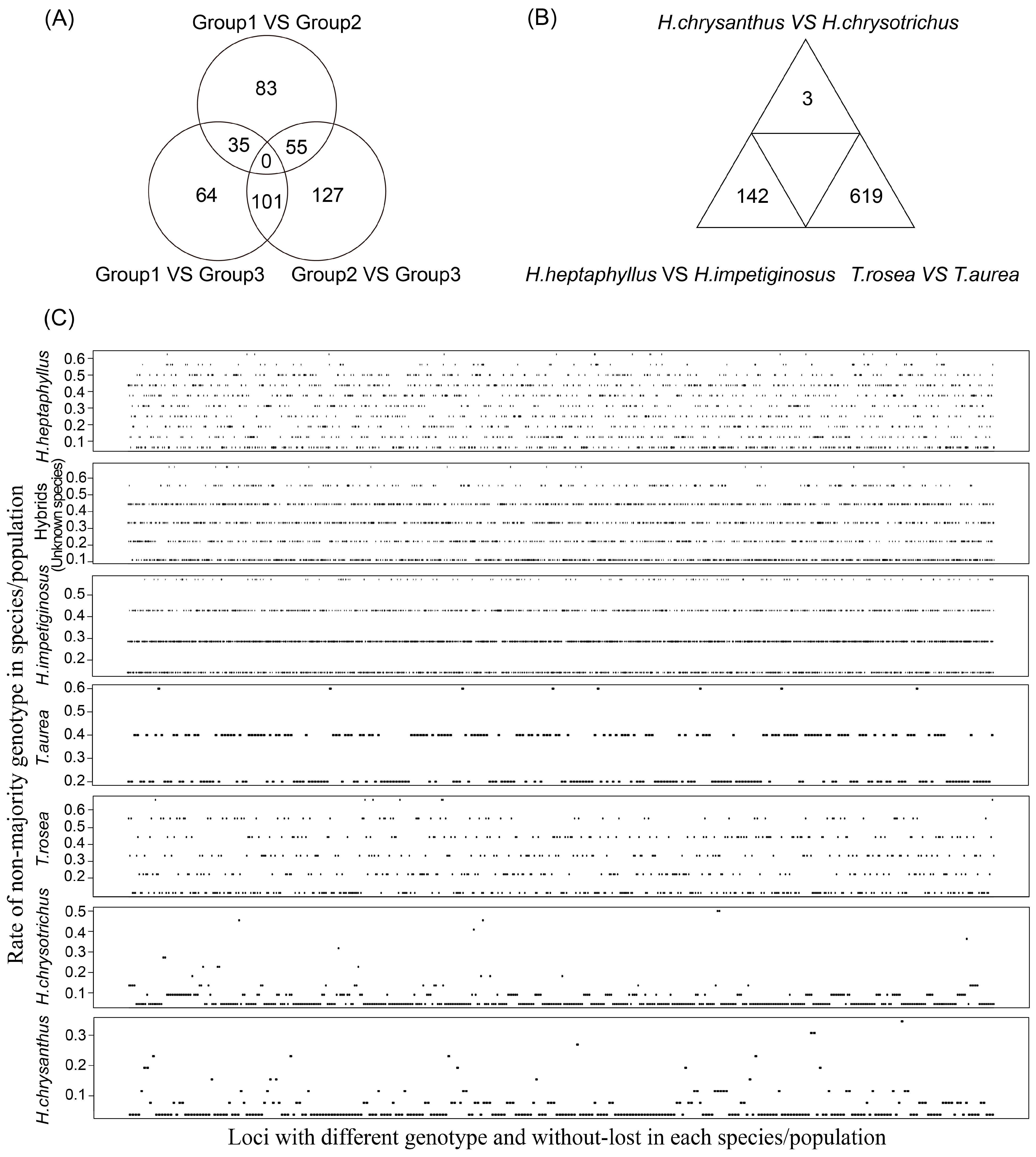 Forests 14 00271 g004 Forests 14 00271 g004