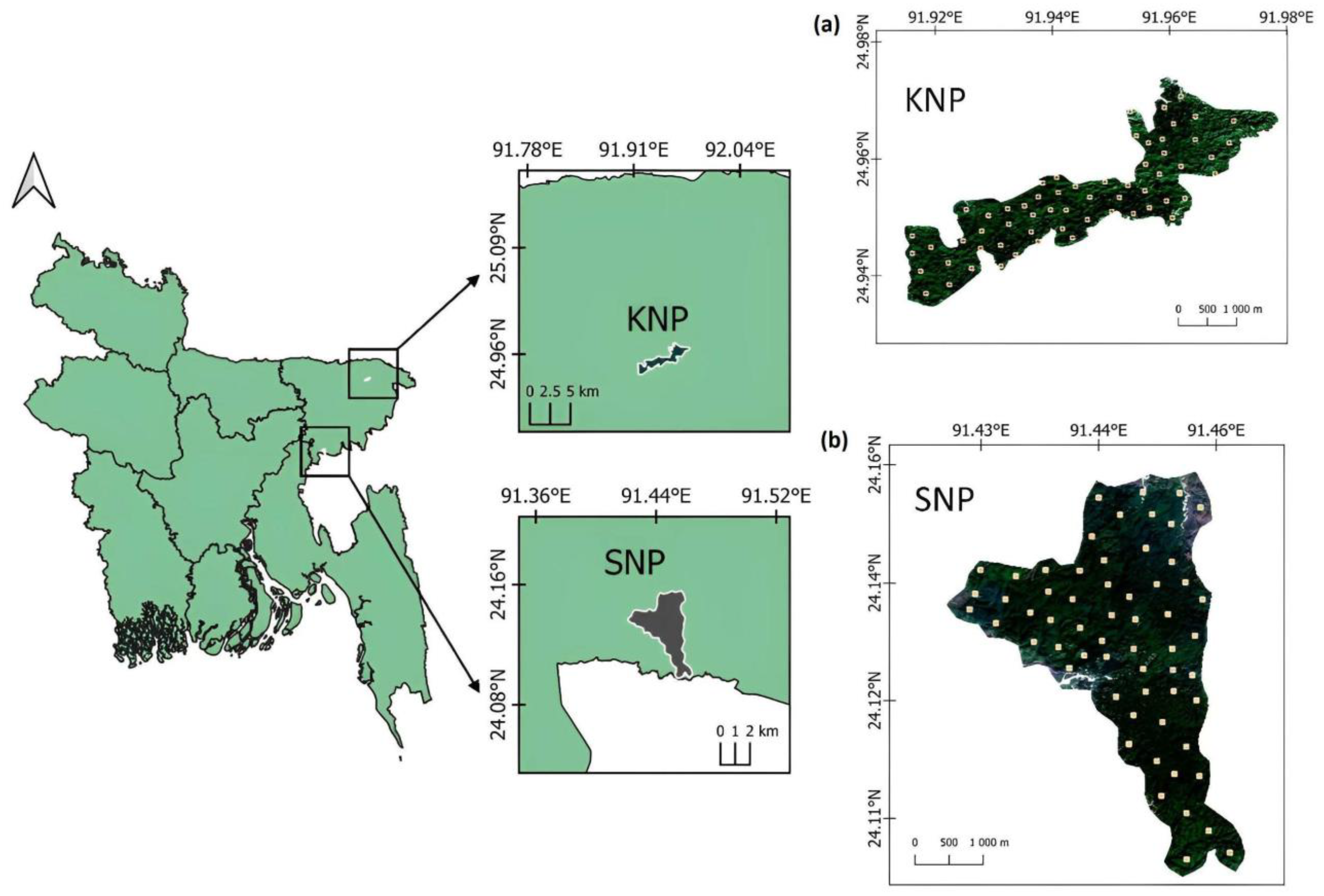 Forests 14 00272 g001