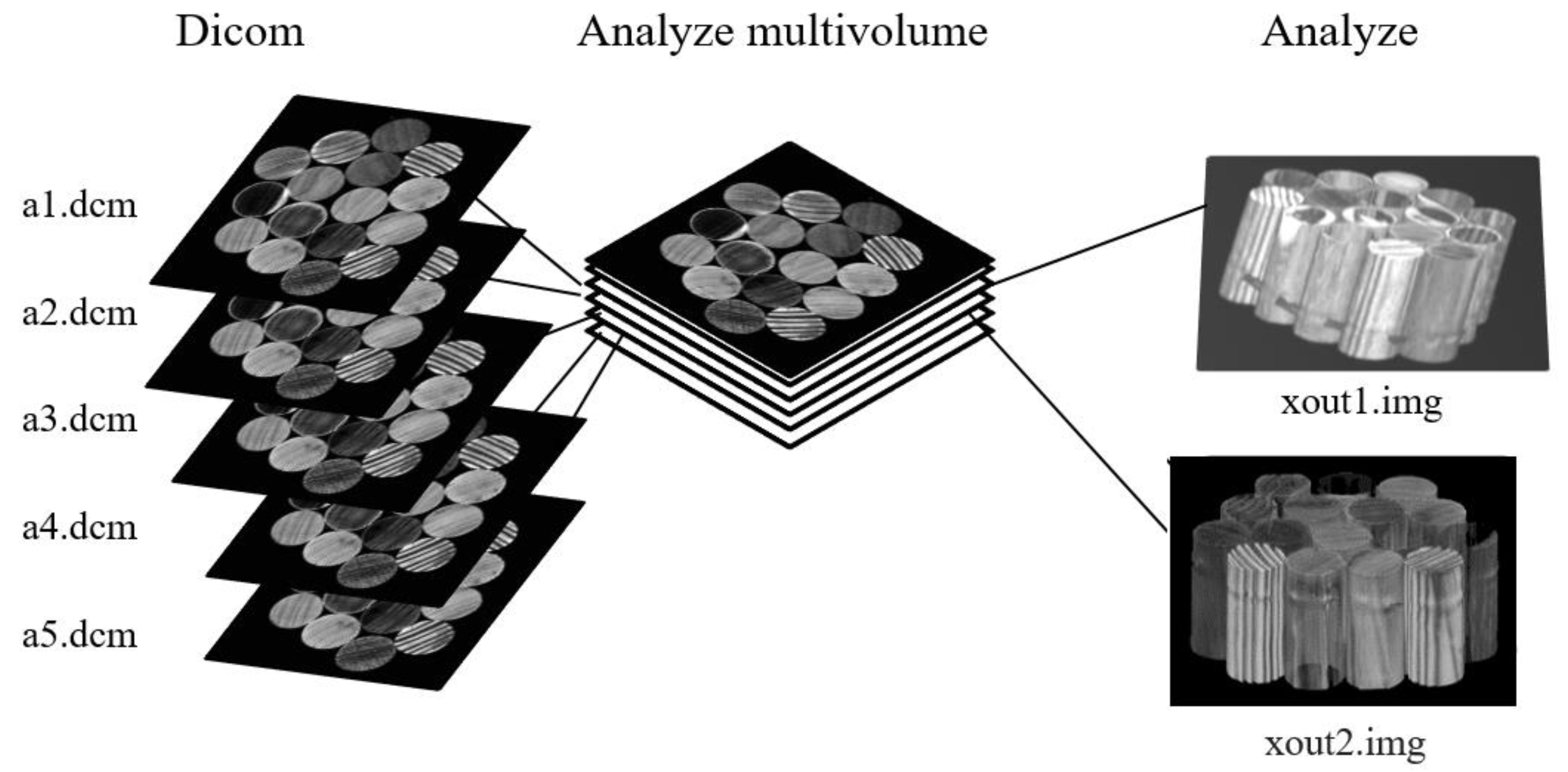 Forests 14 00276 g002