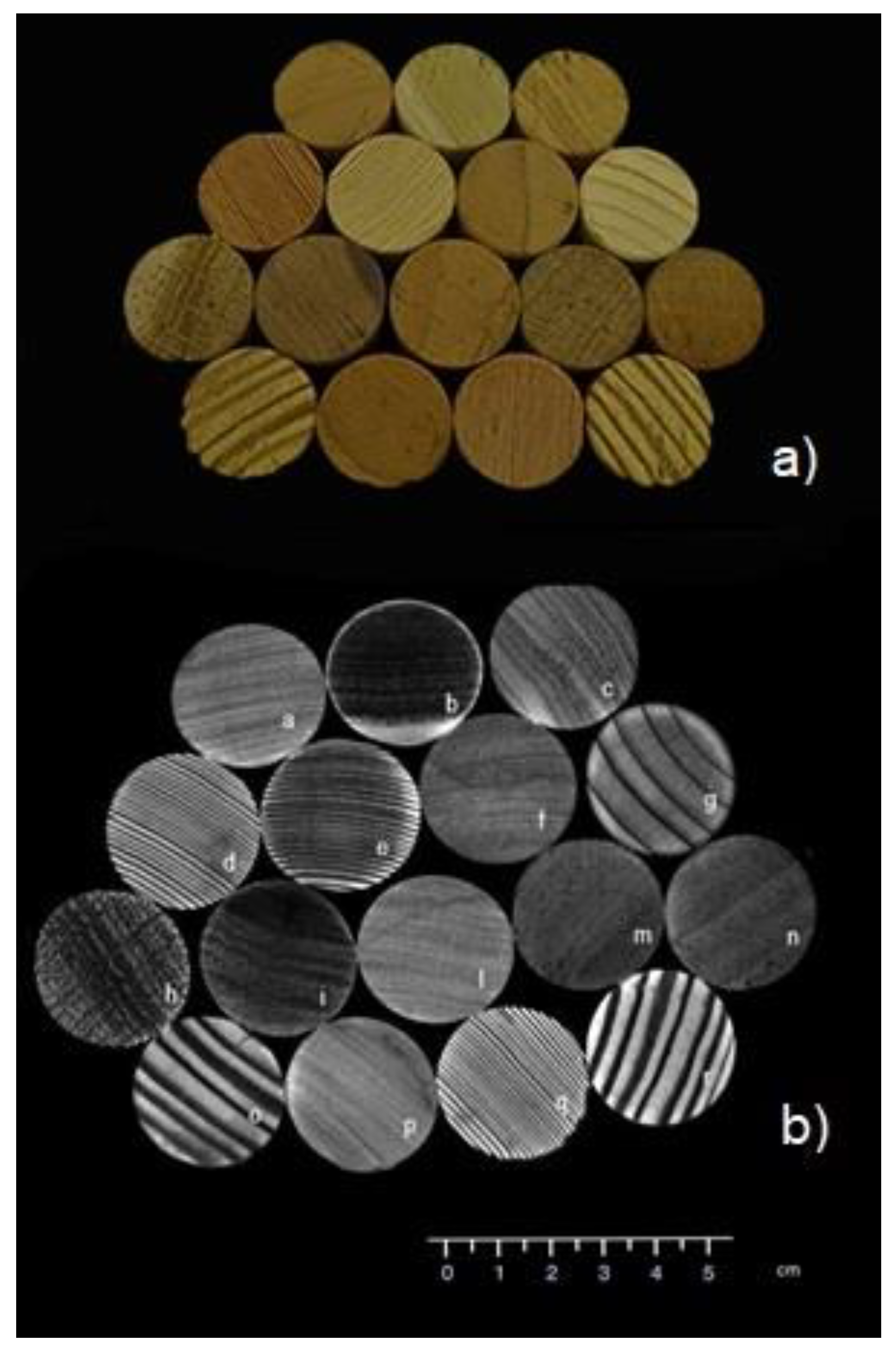 Forests 14 00276 g003