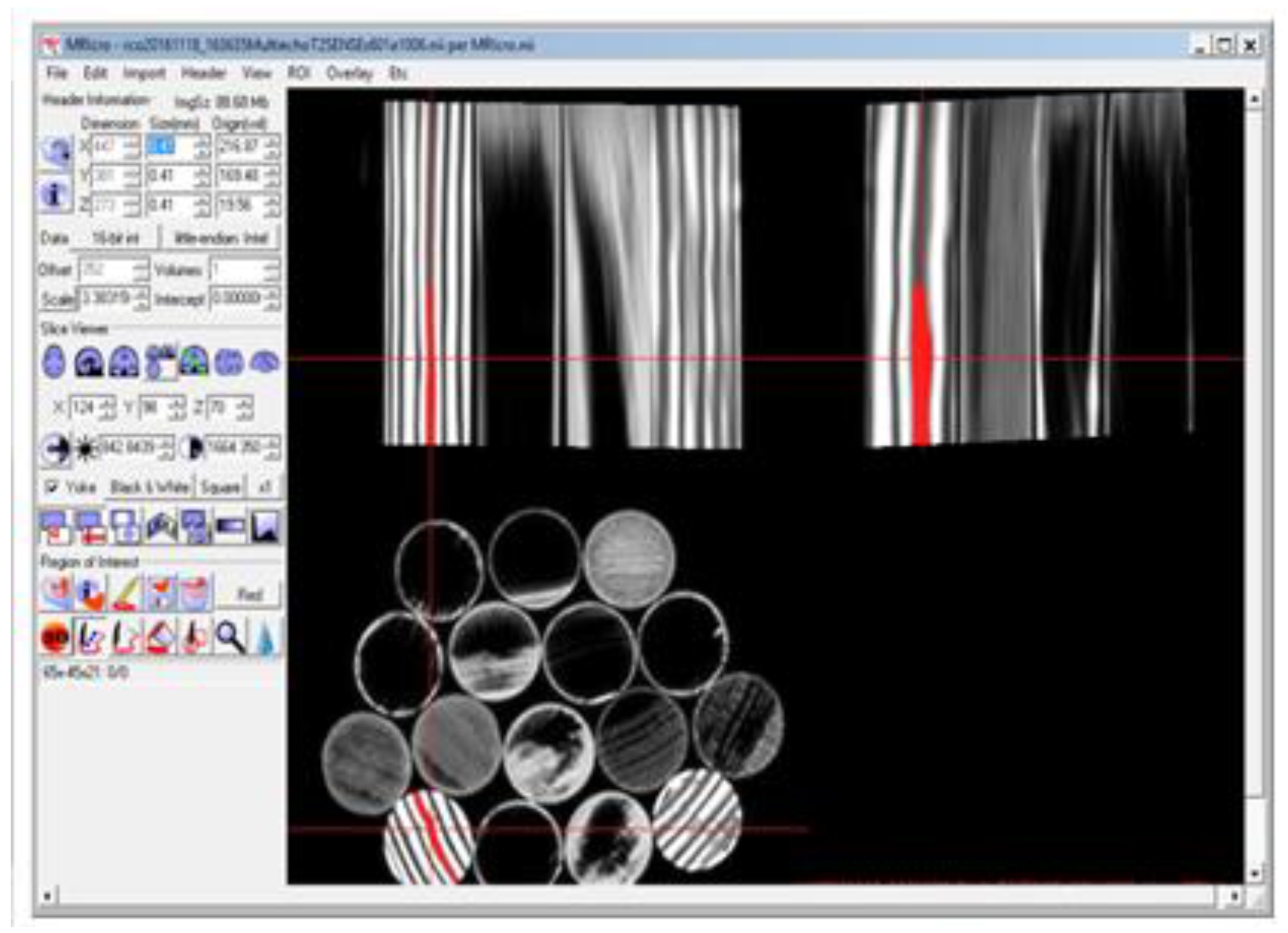 Forests 14 00276 g007
