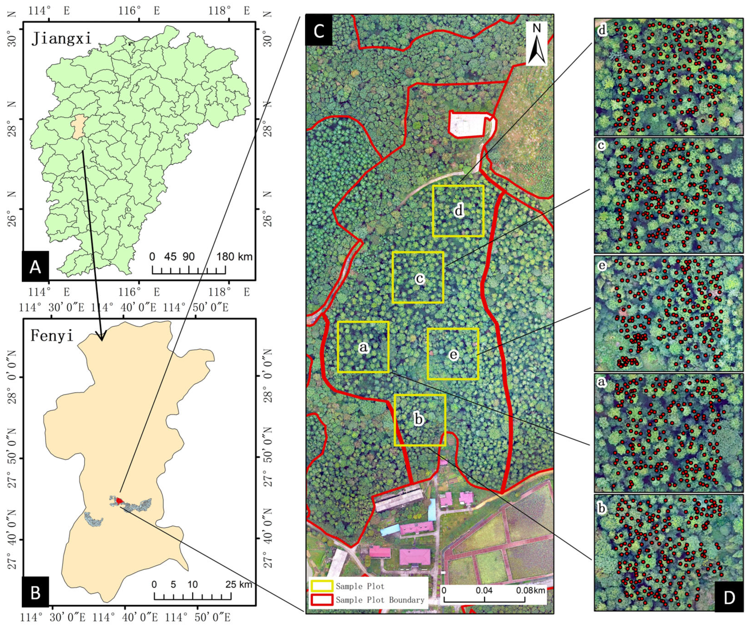 Forests 14 00277 g001 Forests 14 00277 g001
