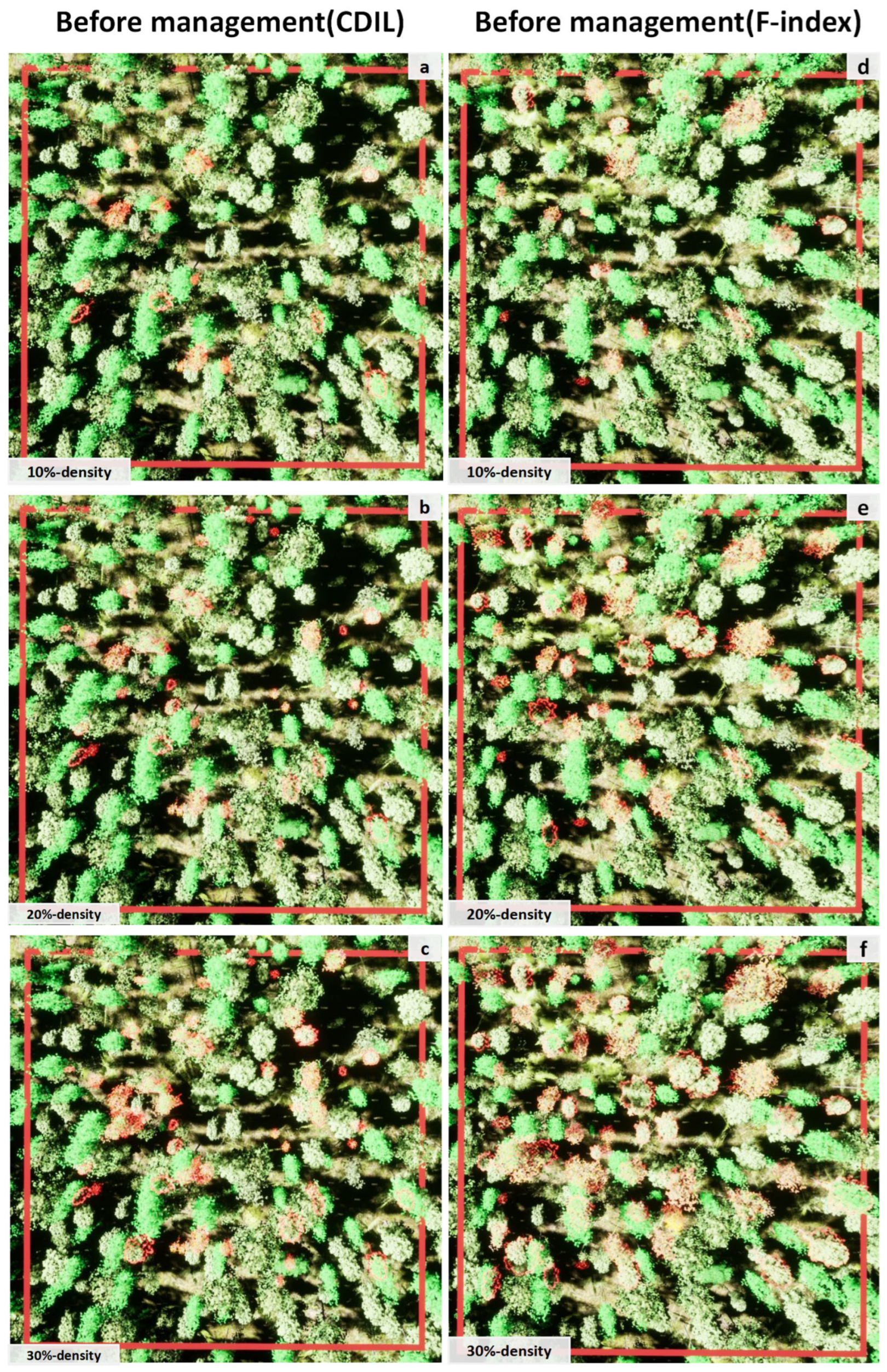 Forests 14 00277 g006 Forests 14 00277 g006