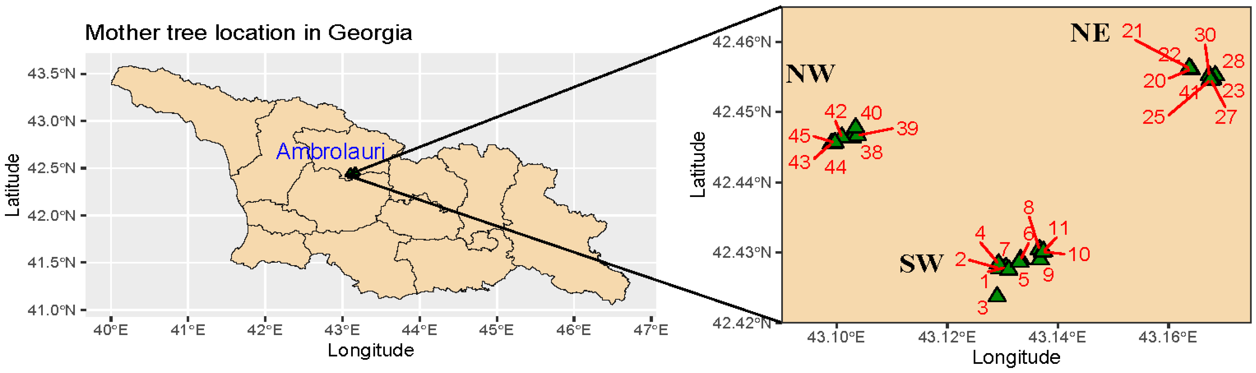 Forests 14 00279 g001 Forests 14 00279 g001