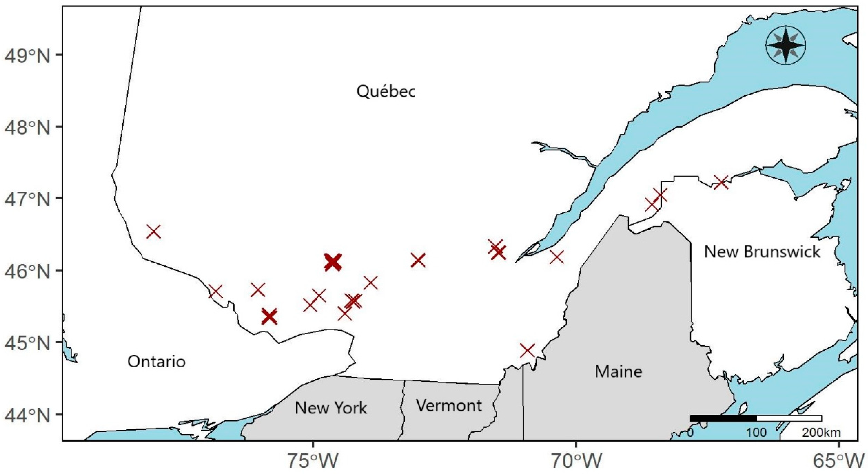 Forests 14 00280 g001 Forests 14 00280 g001