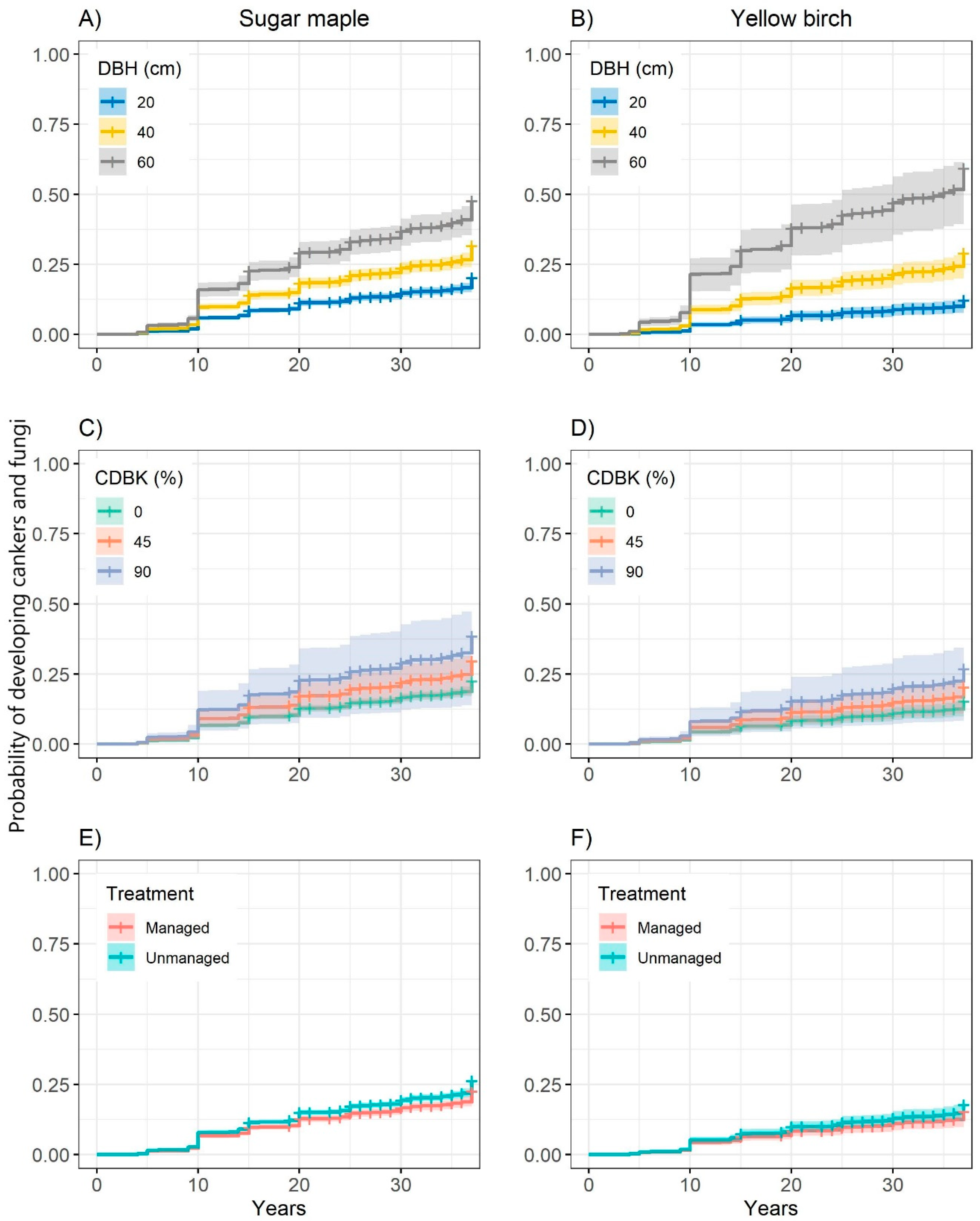 Forests 14 00280 g002 Forests 14 00280 g002