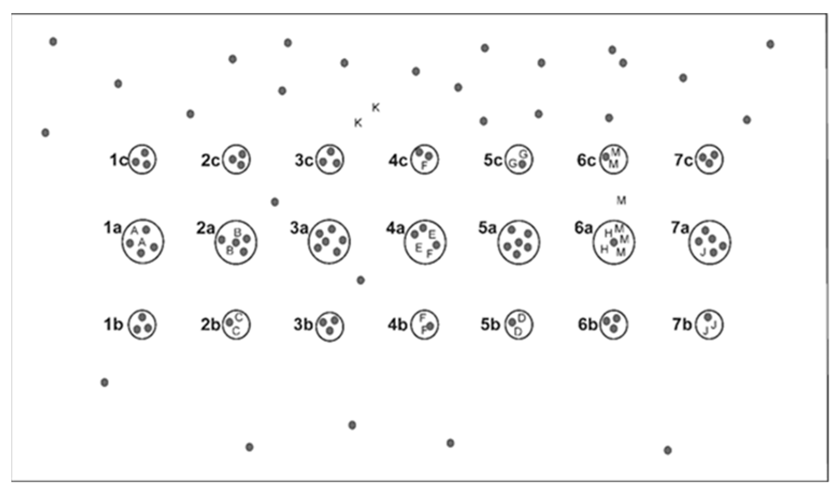 Forests 14 00281 g002 Forests 14 00281 g002
