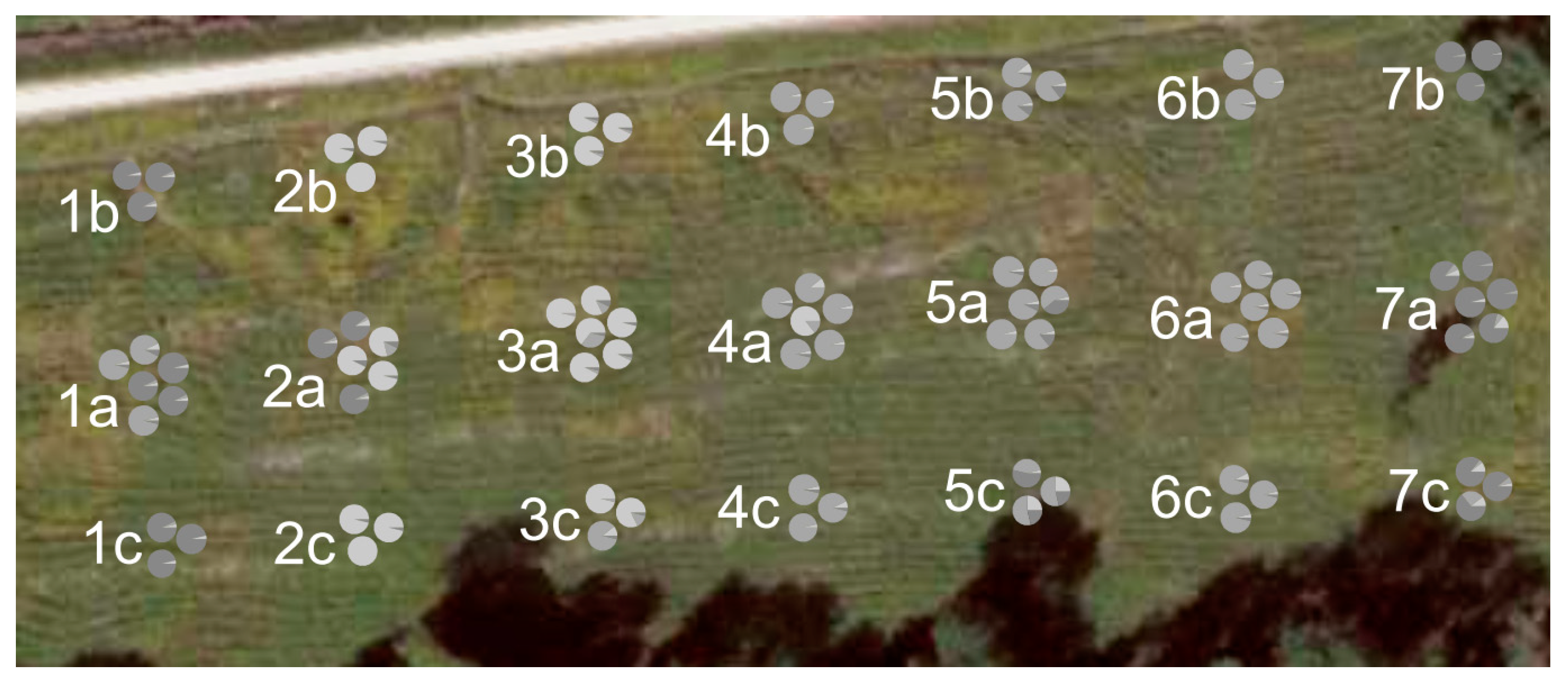 Forests 14 00281 g006 Forests 14 00281 g006