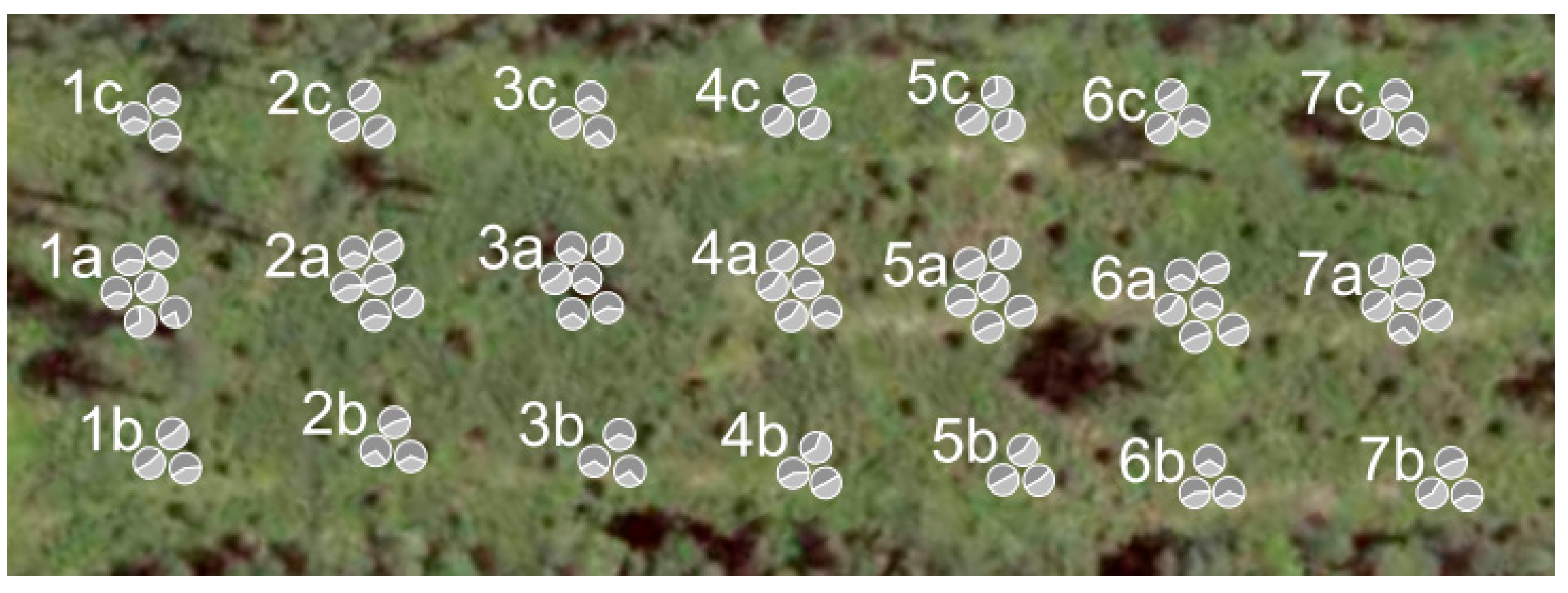 Forests 14 00281 g007 Forests 14 00281 g007