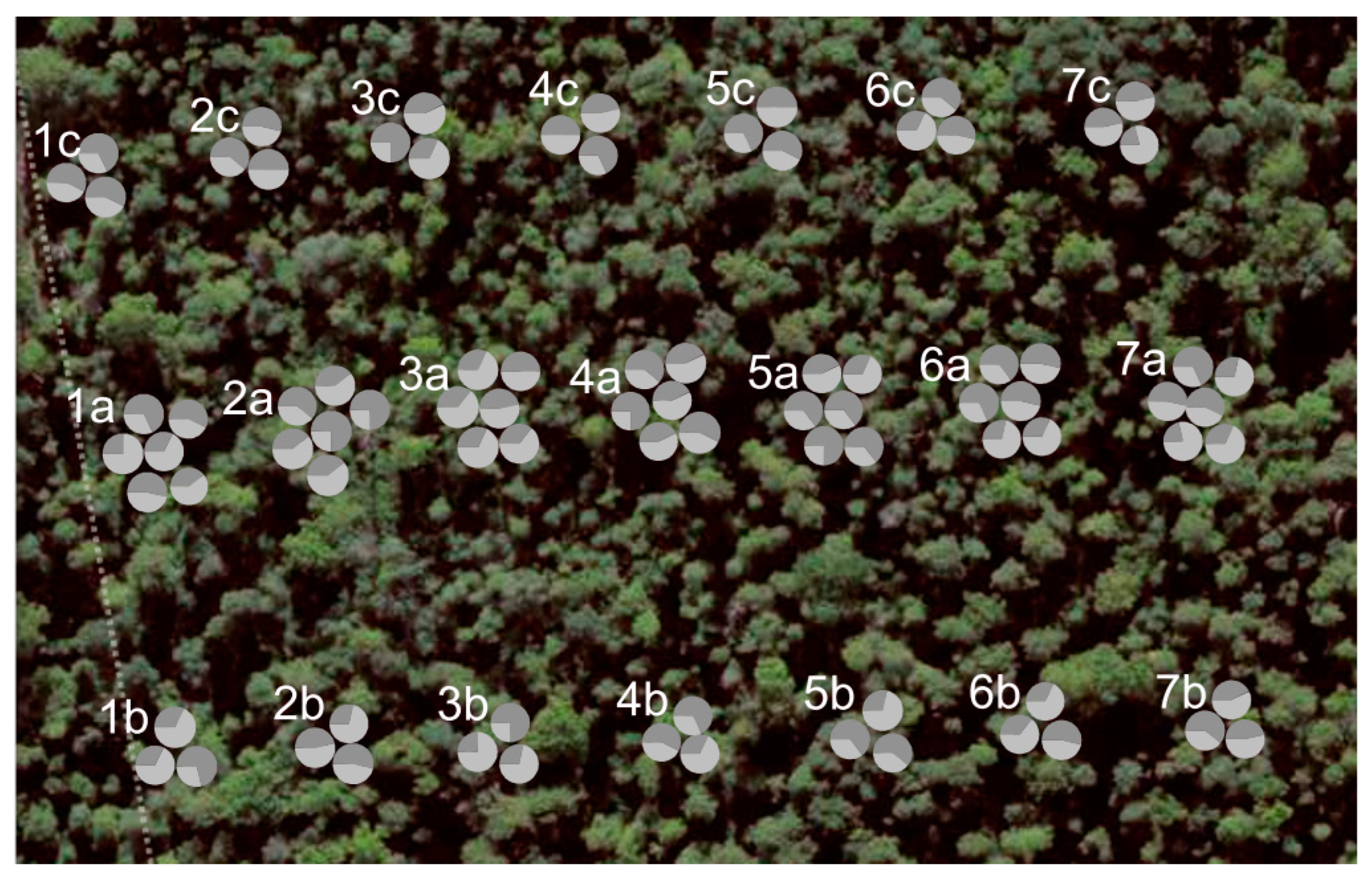 Forests 14 00281 g008 Forests 14 00281 g008