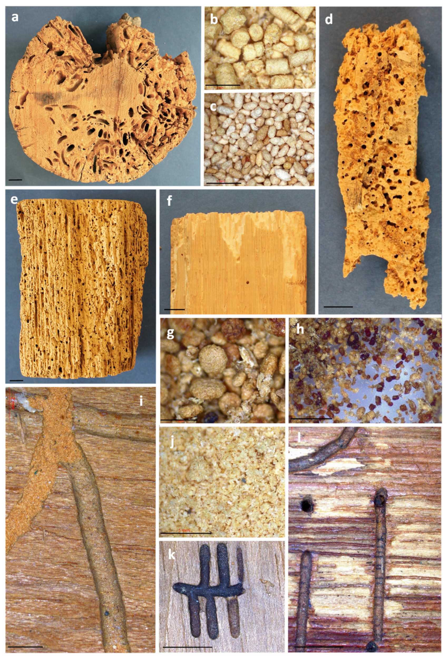 Forests 14 00283 g003 Forests 14 00283 g003