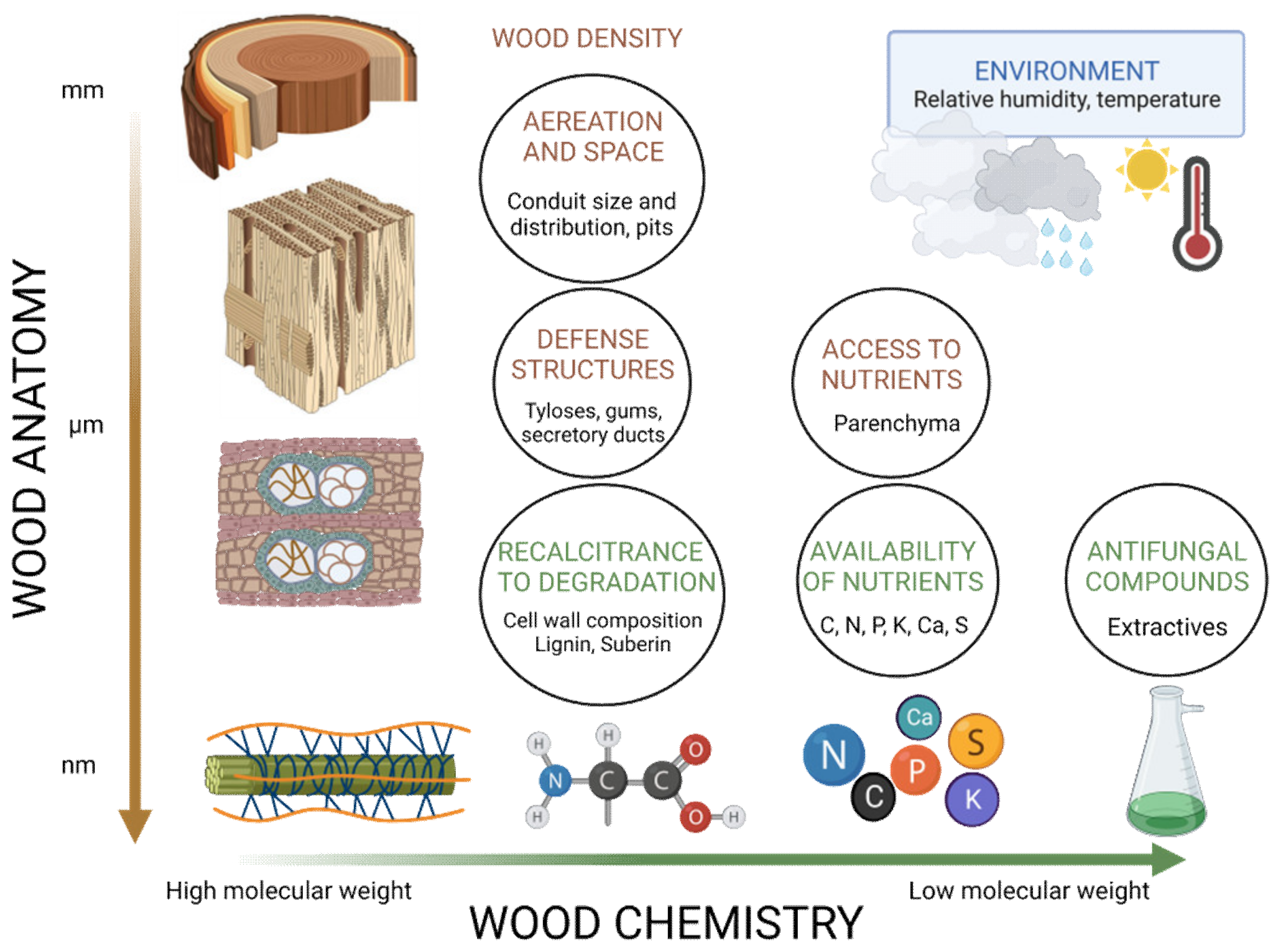 Forests 14 00283 g007 Forests 14 00283 g007