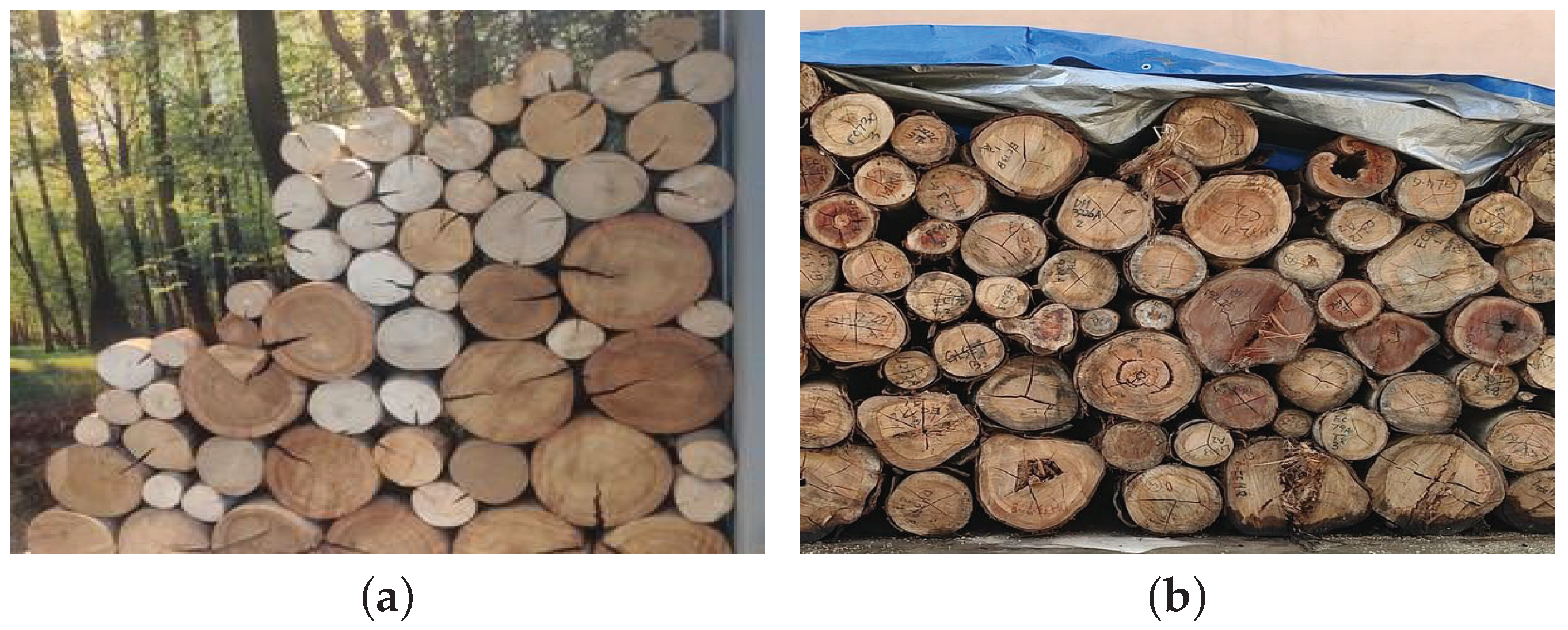 Forests 14 00285 g002 Forests 14 00285 g002