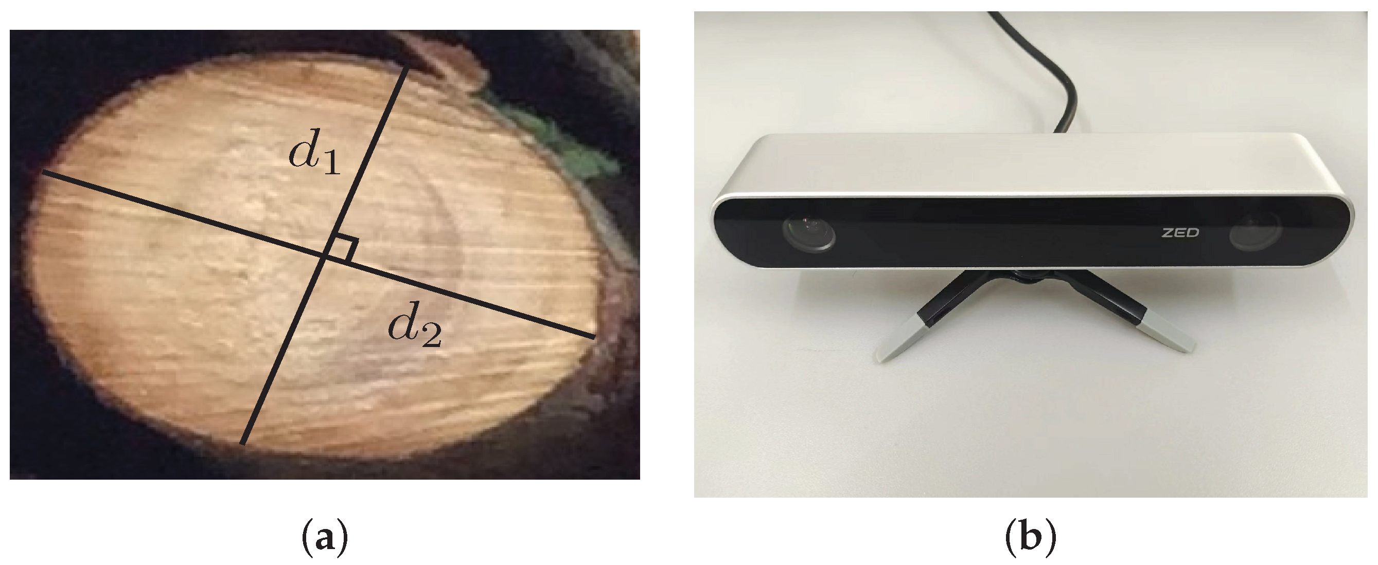 Forests 14 00285 g003 Forests 14 00285 g003