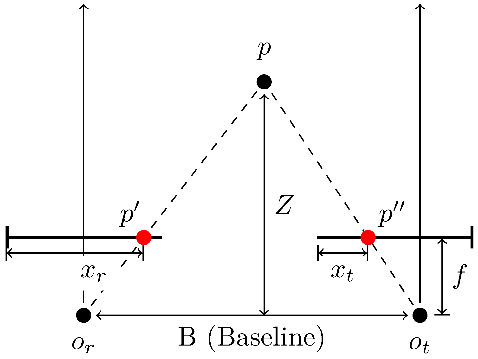 Forests 14 00285 g006 Forests 14 00285 g006