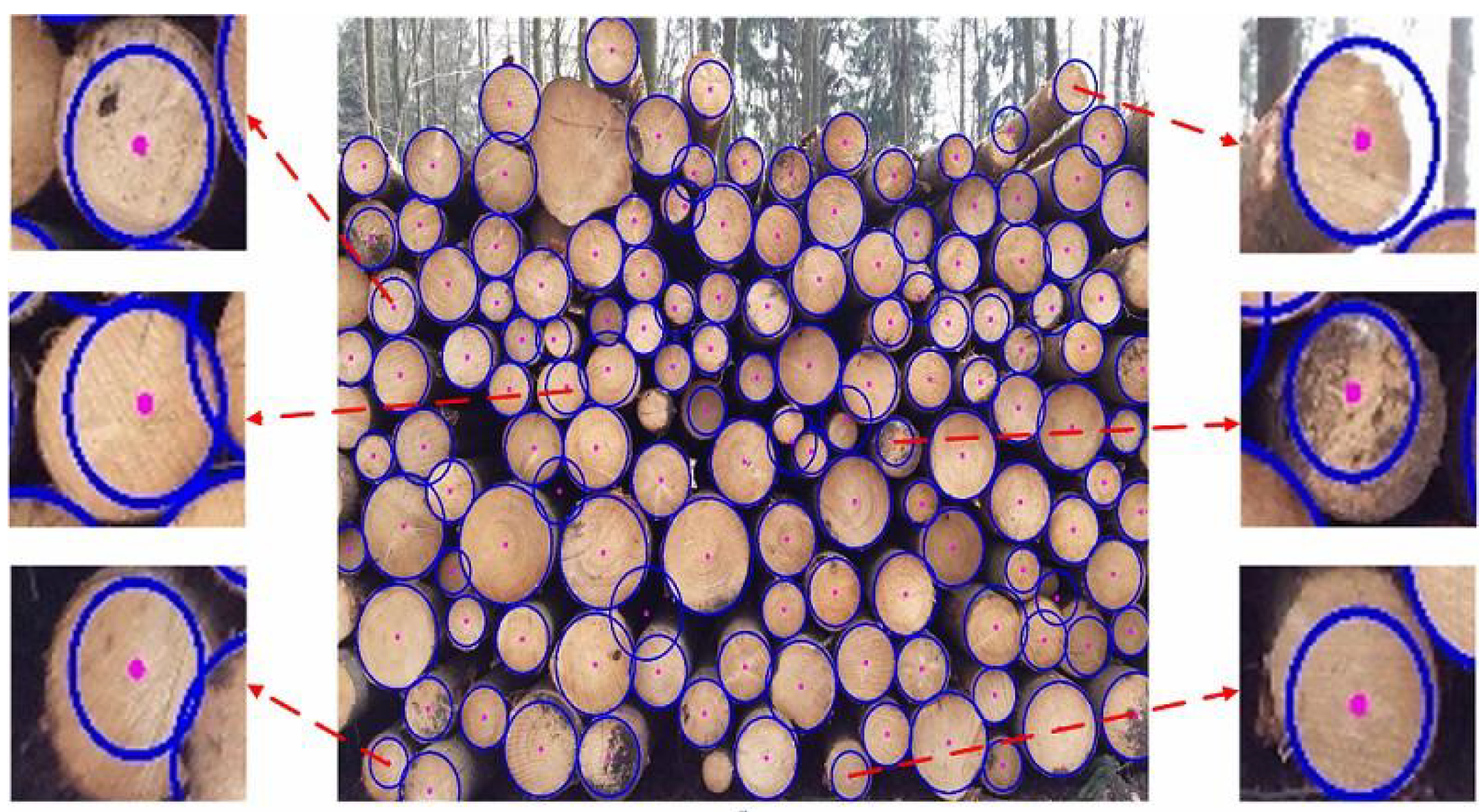 Forests 14 00285 g009 Forests 14 00285 g009