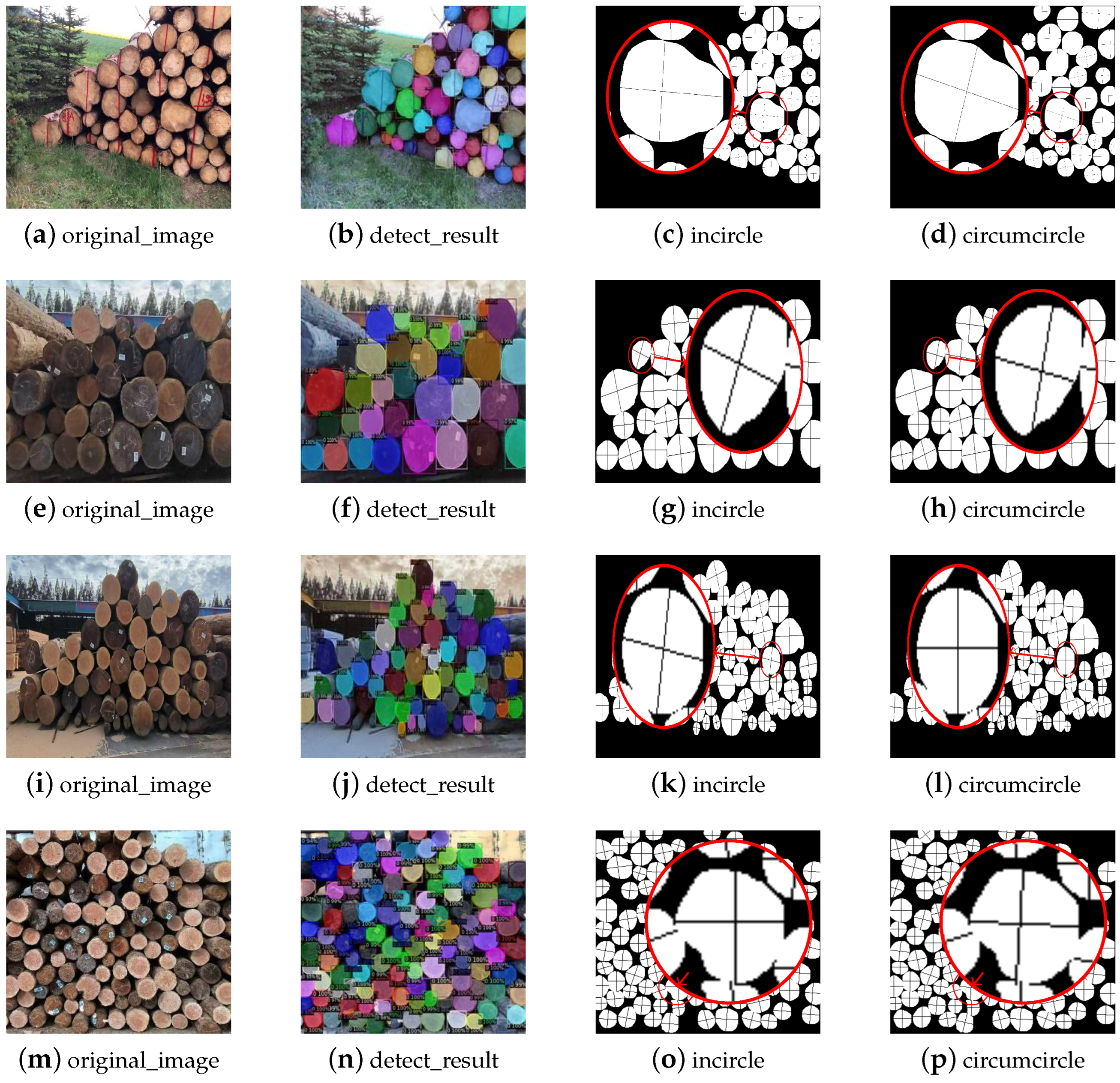 Forests 14 00285 g011 Forests 14 00285 g011