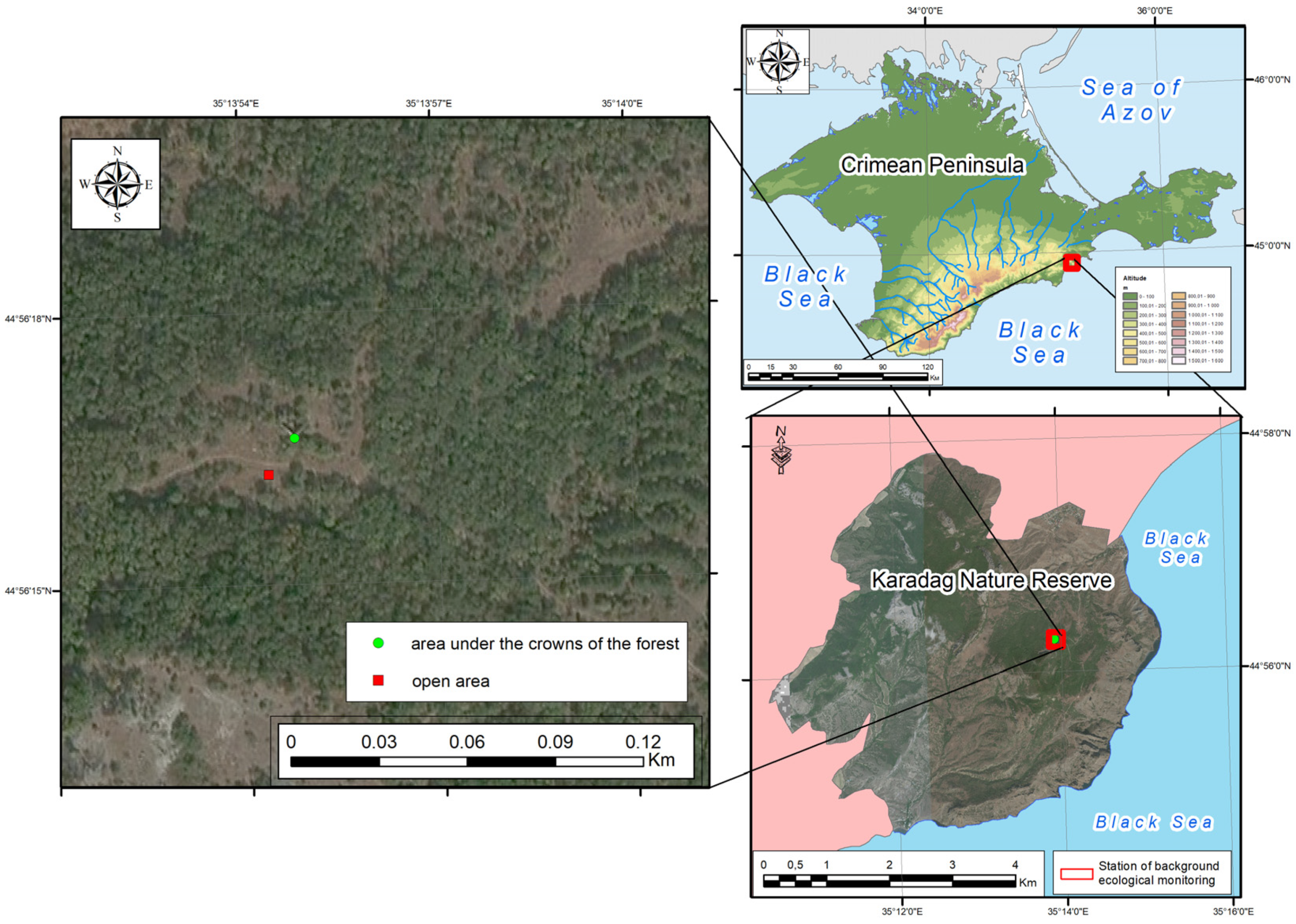 Forests 14 00294 g001 550