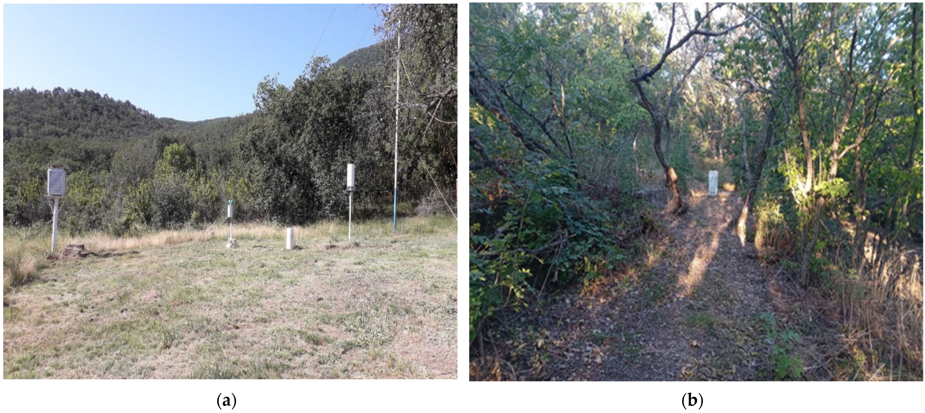 Forests 14 00294 g002 550