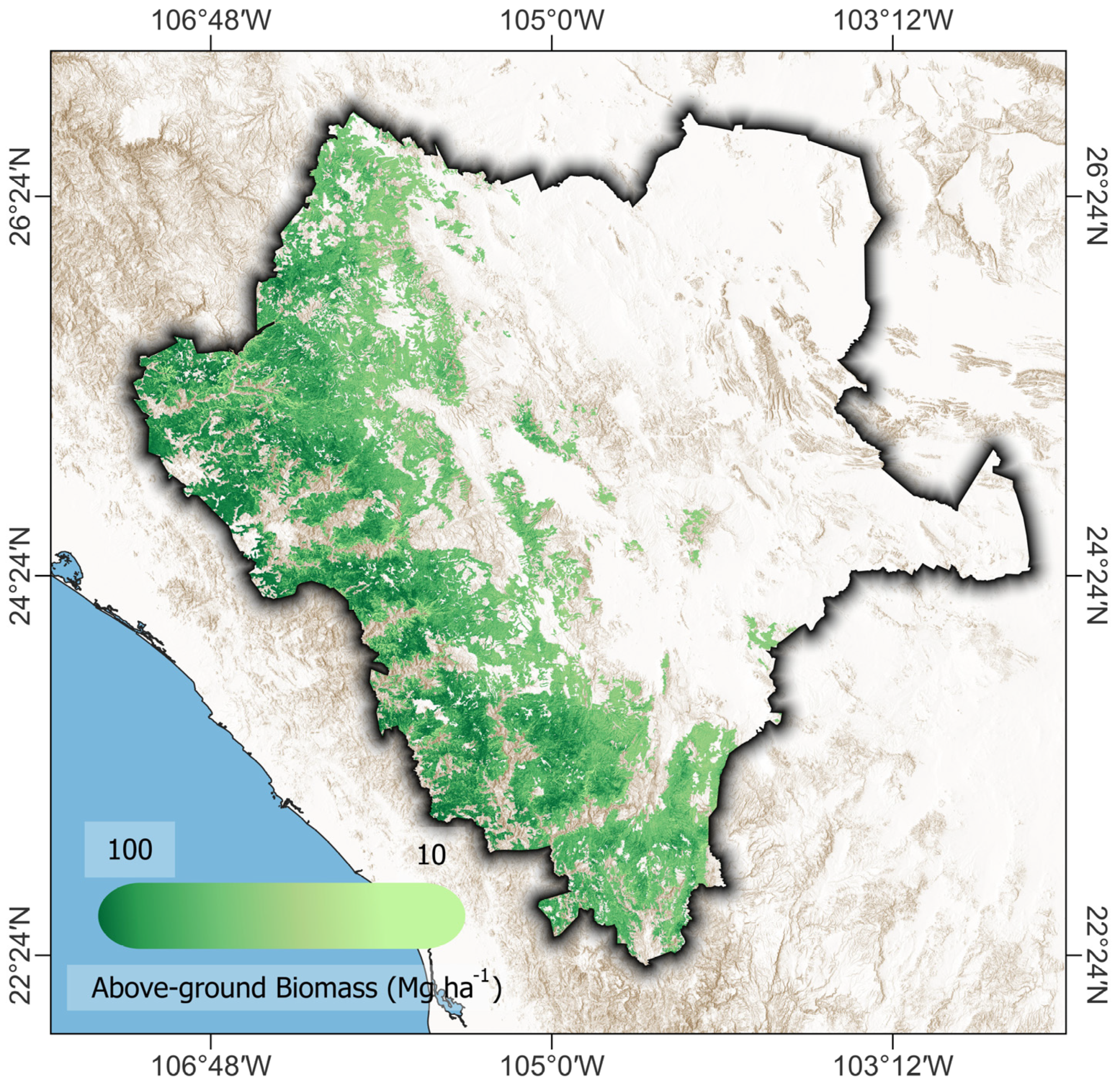 Forests 14 00299 g007 Forests 14 00299 g007