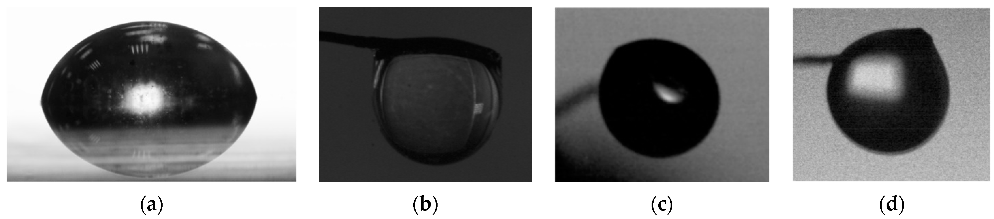 Forests 14 00301 g002