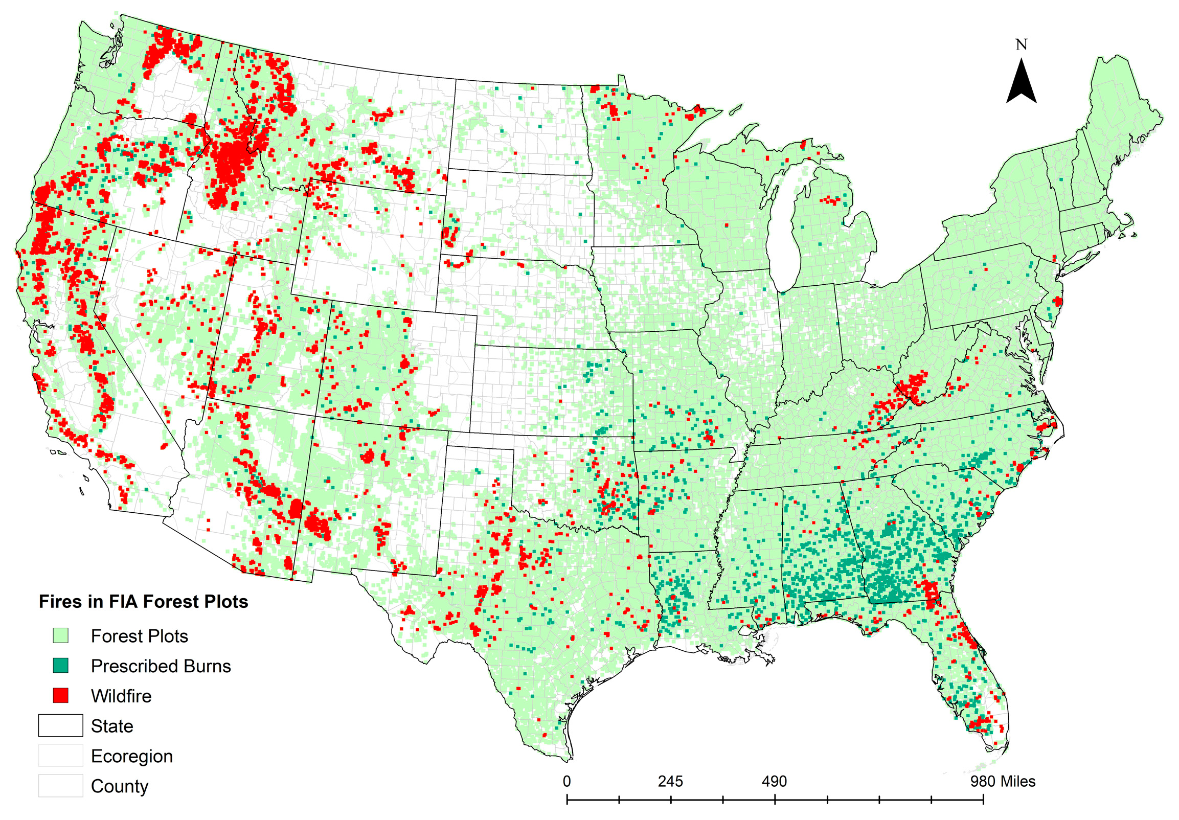 Forests 14 00302 g002 Forests 14 00302 g002