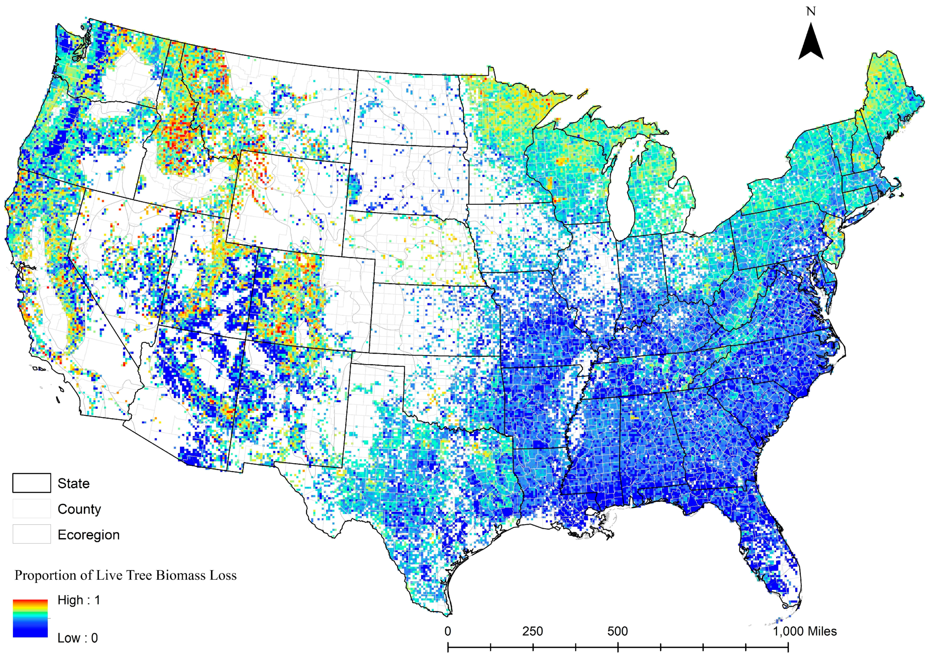 Forests 14 00302 g005 Forests 14 00302 g005