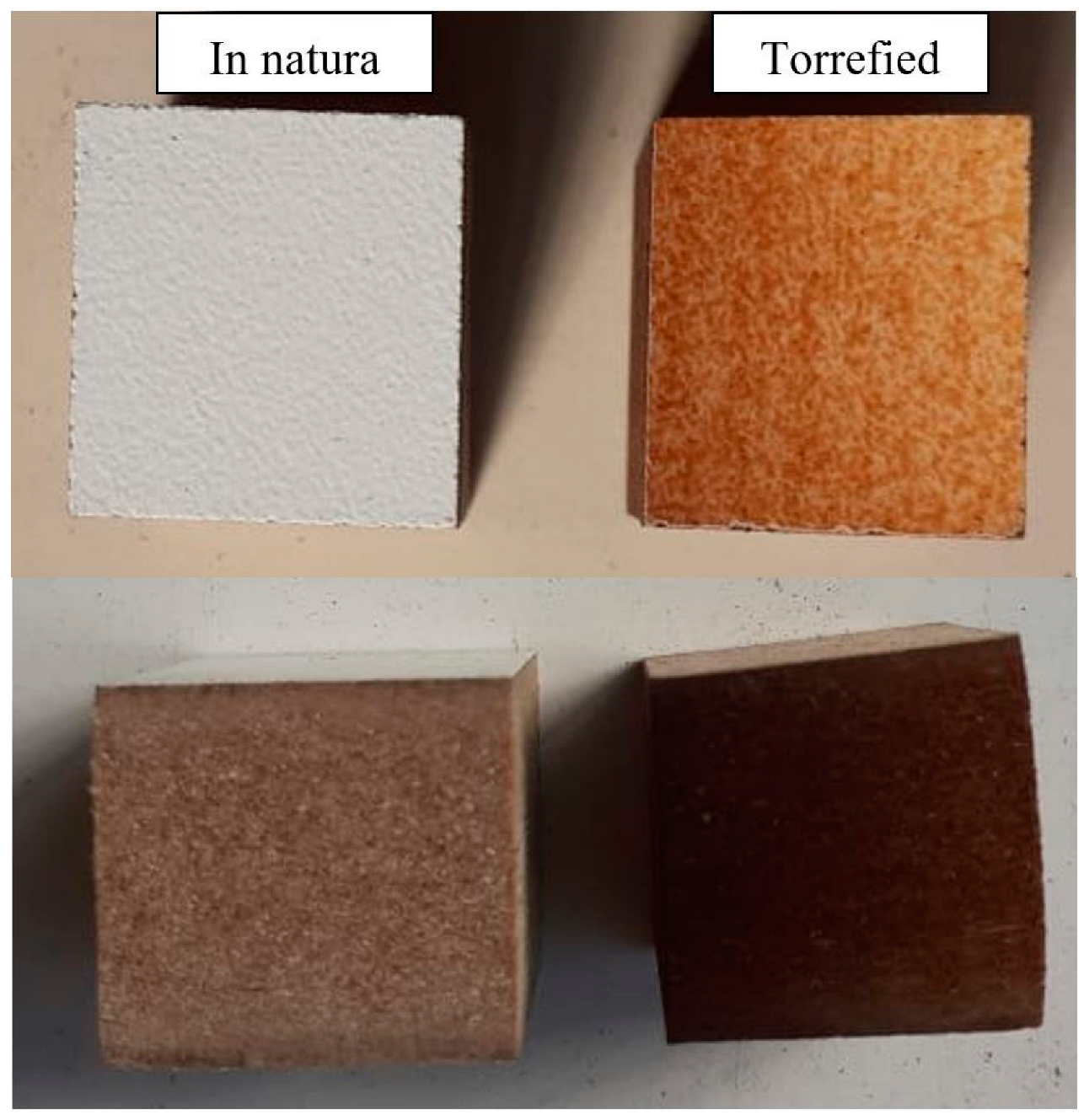 Forests 14 00307 g001 Forests 14 00307 g001