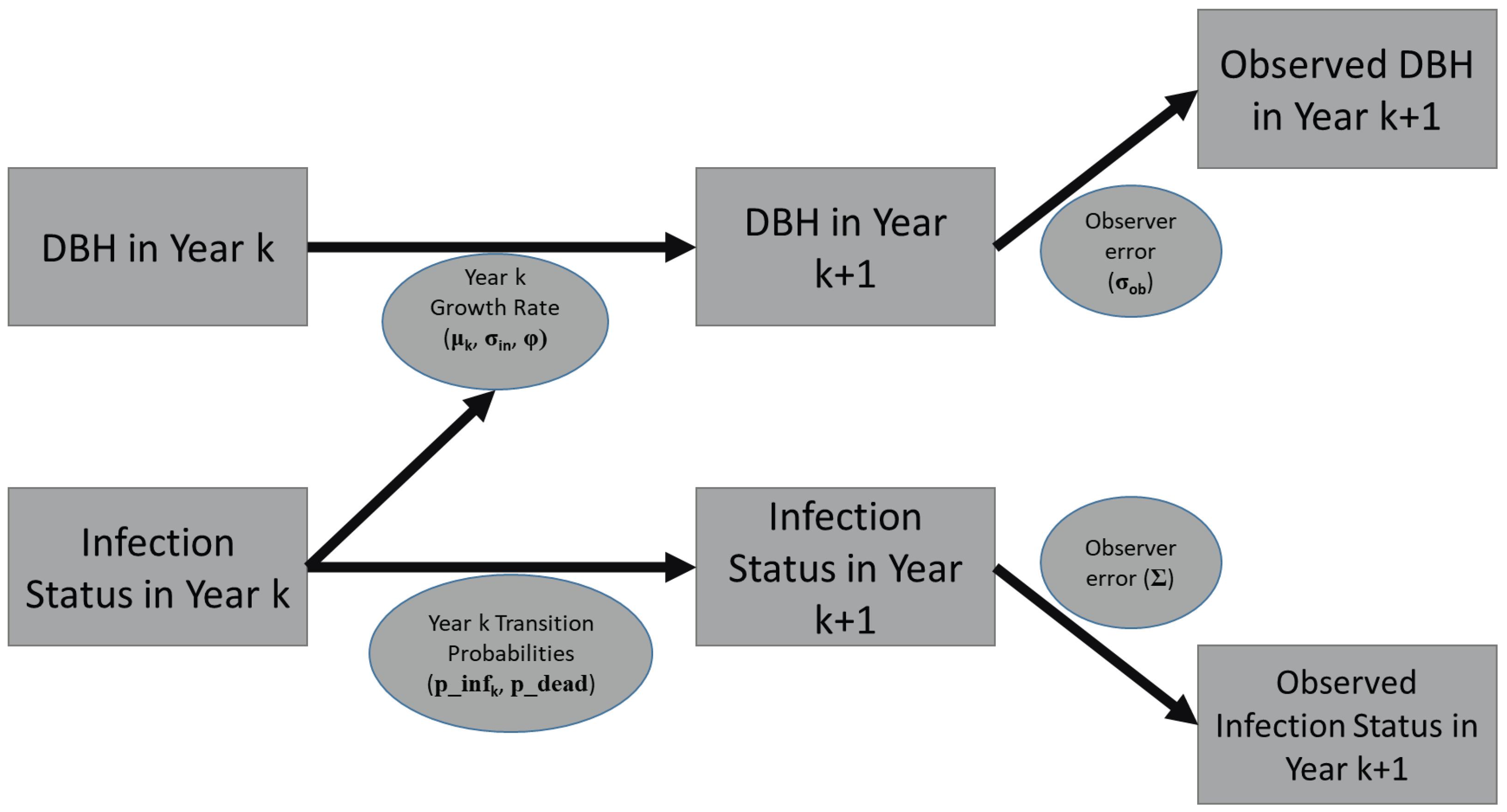 Forests 14 00312 g002 Forests 14 00312 g002
