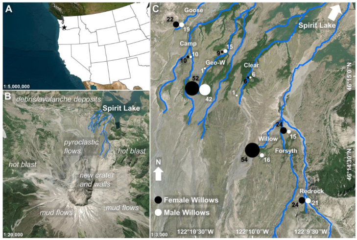Forests 14 00322 g001