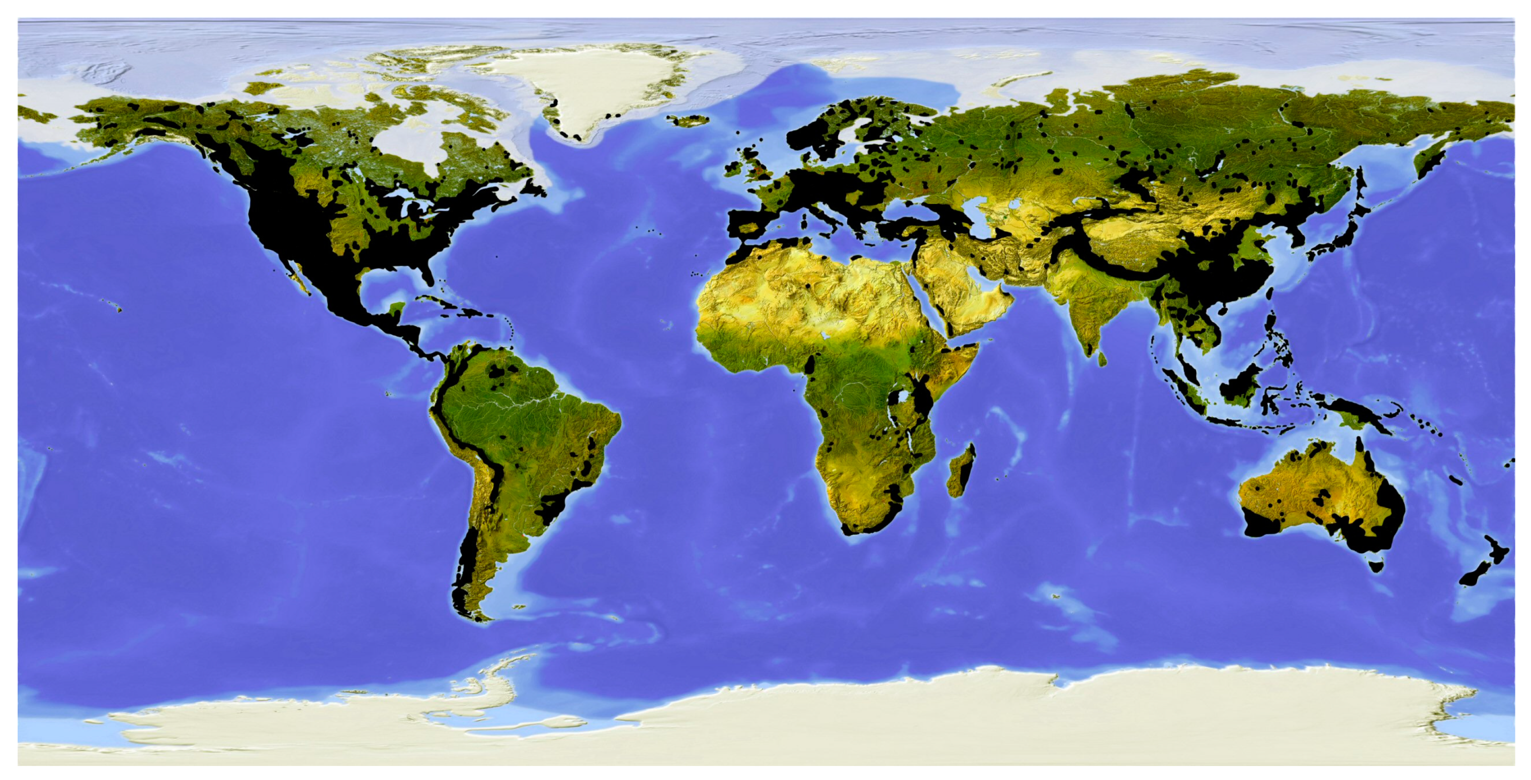 Forests 14 00323 g006