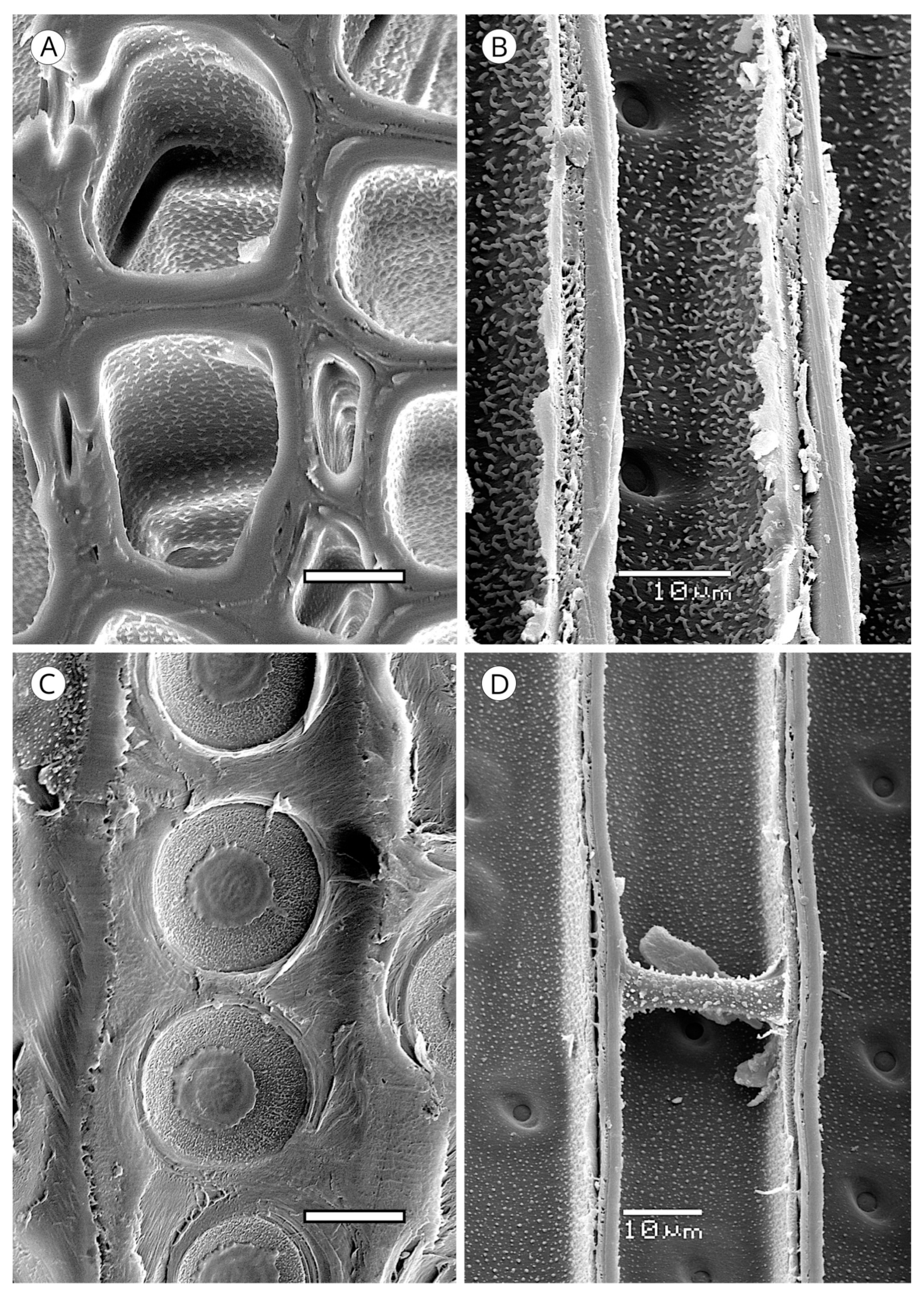 Forests 14 00323 g018