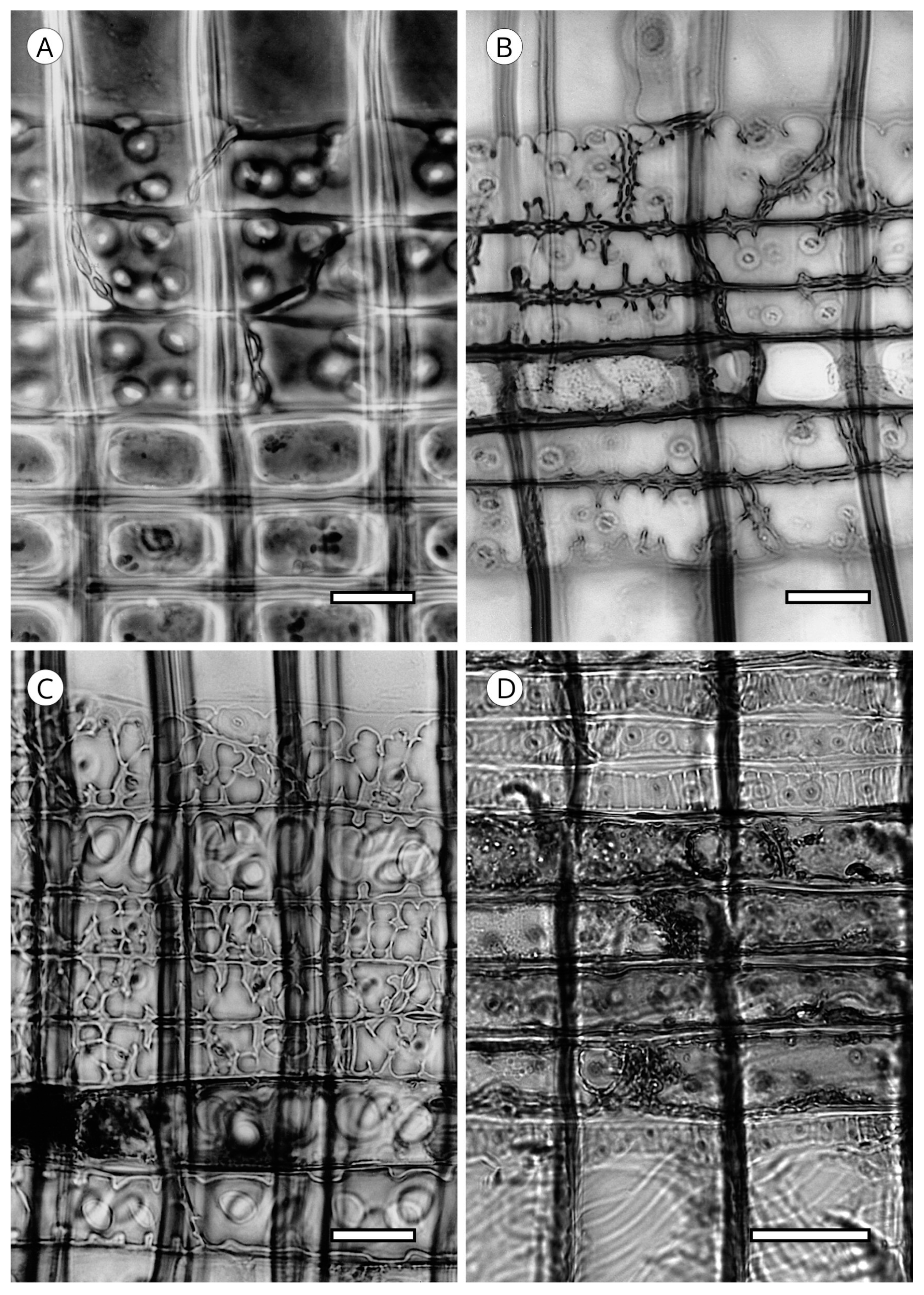 Forests 14 00323 g030