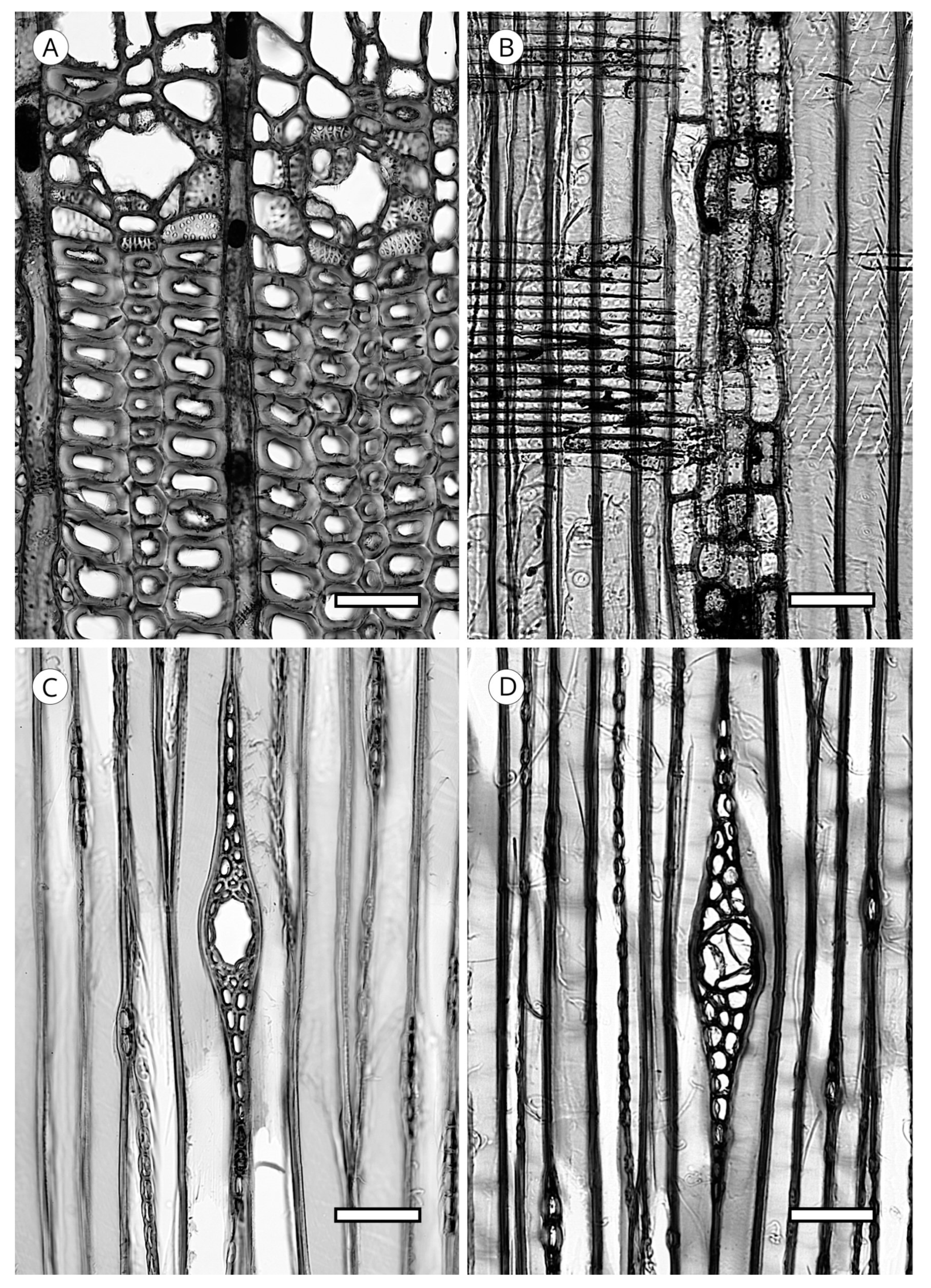 Forests 14 00323 g040