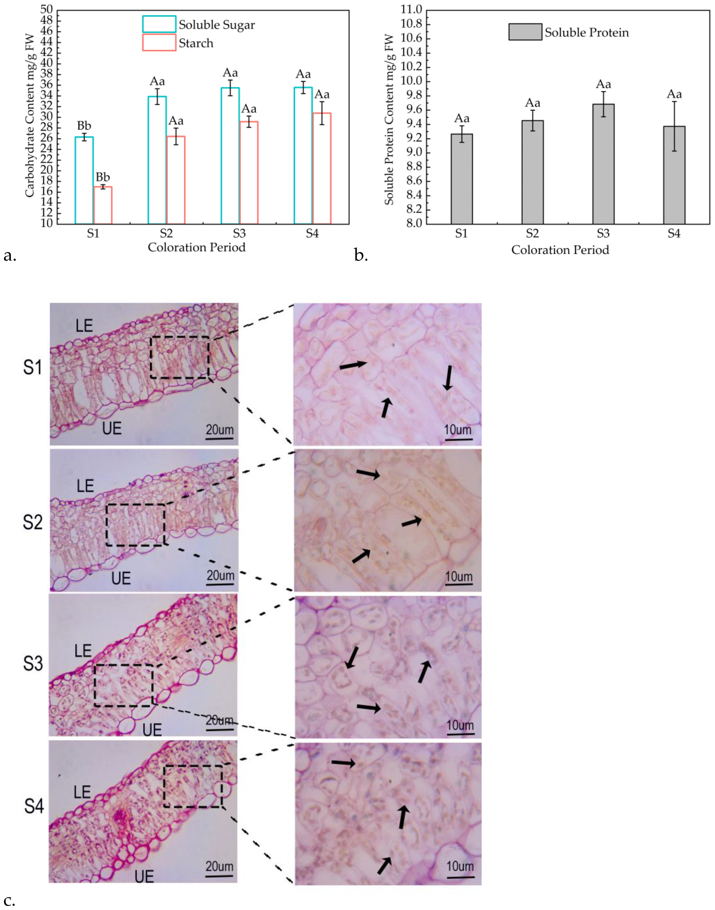 Forests 14 00328 g004 Forests 14 00328 g004