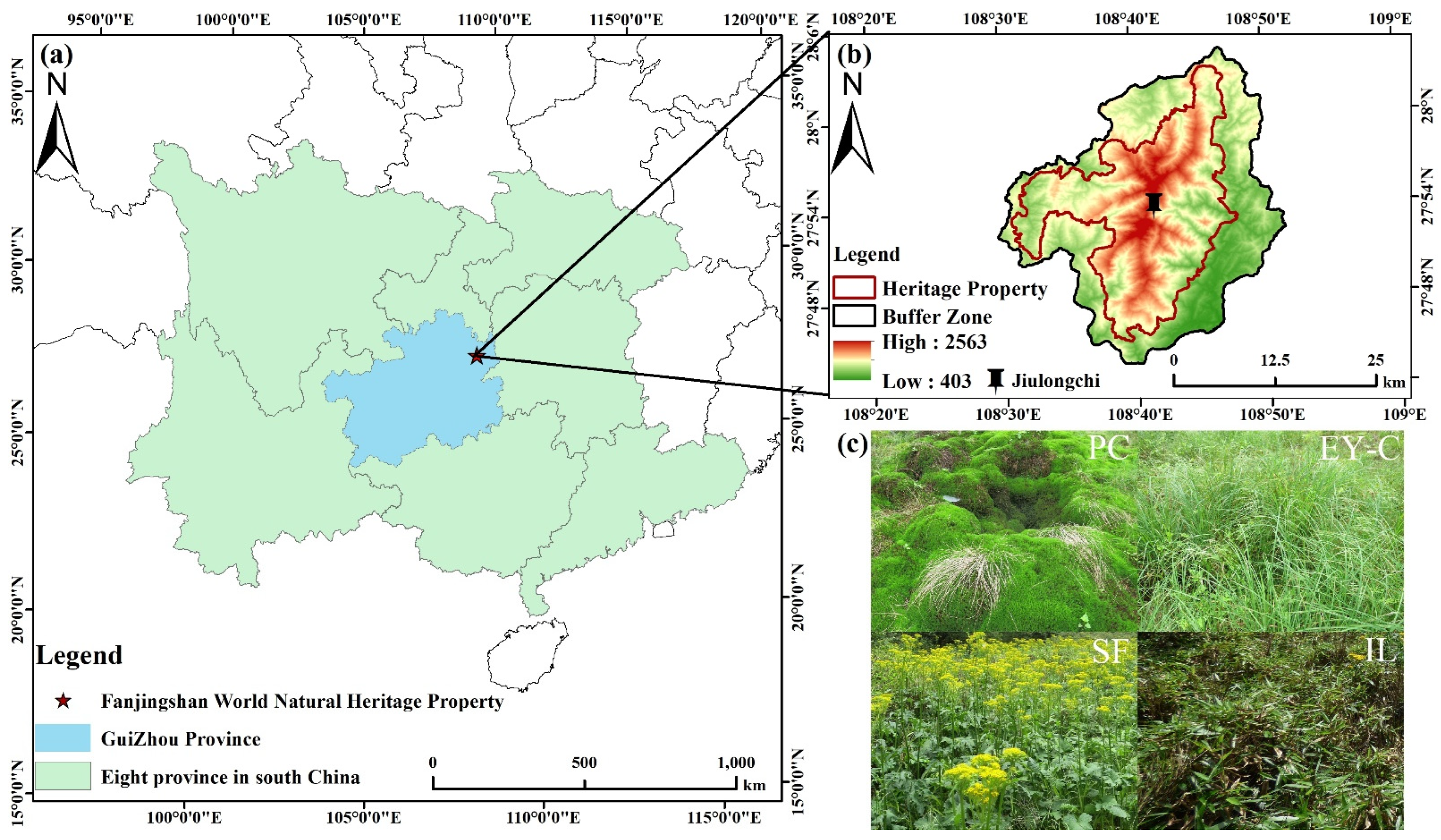 Forests 14 00332 g001 Forests 14 00332 g001