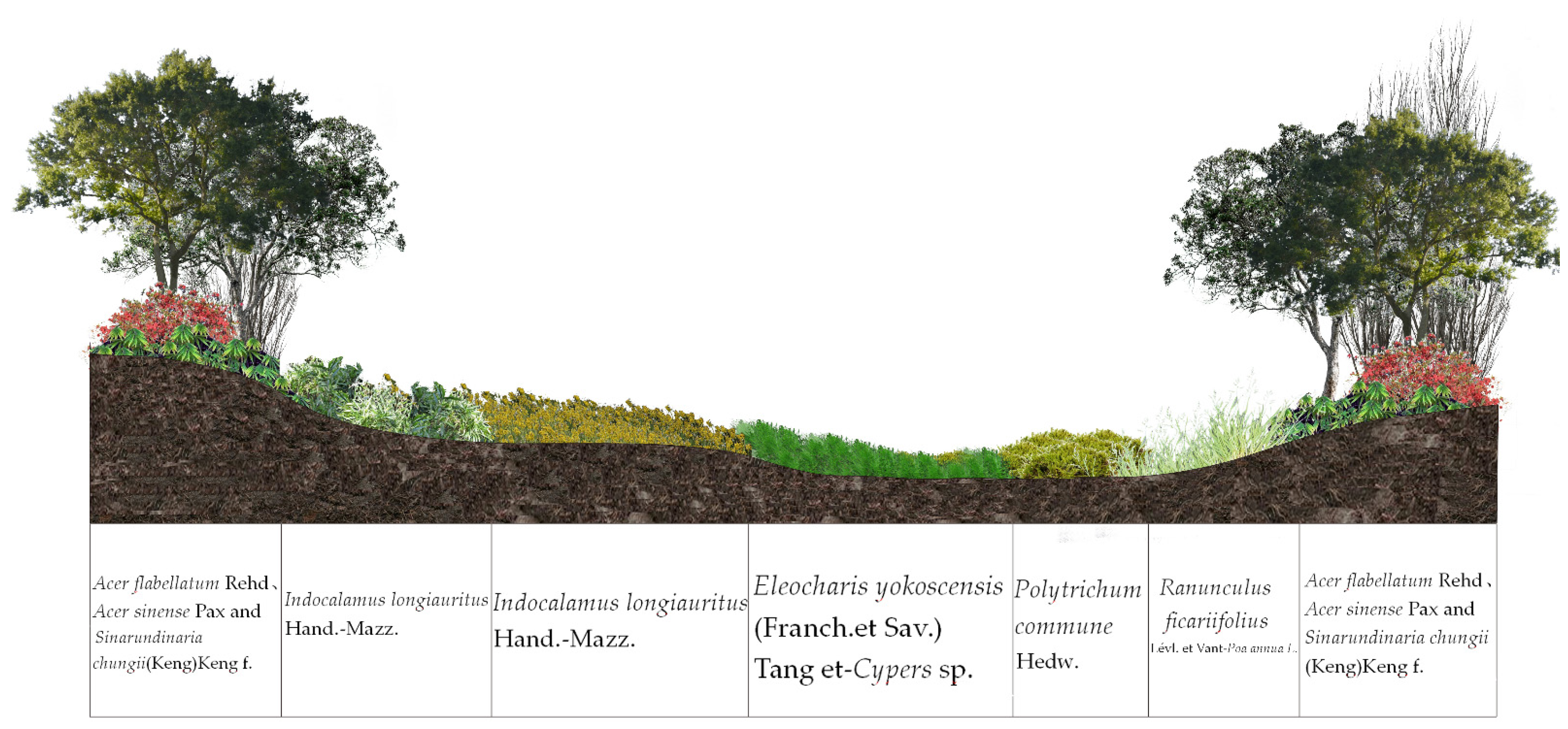 Forests 14 00332 g002 Forests 14 00332 g002