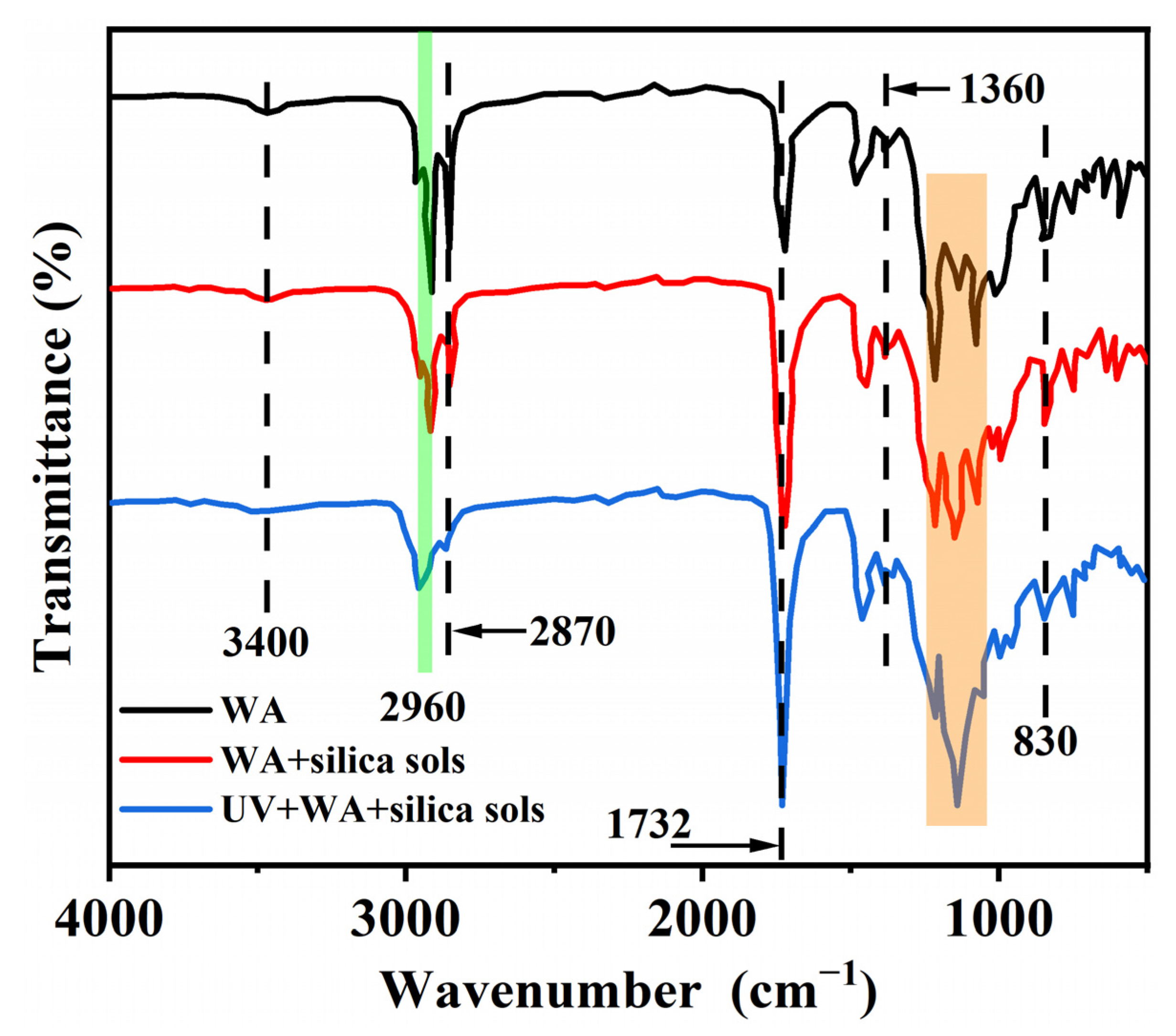 Forests 14 00335 g003