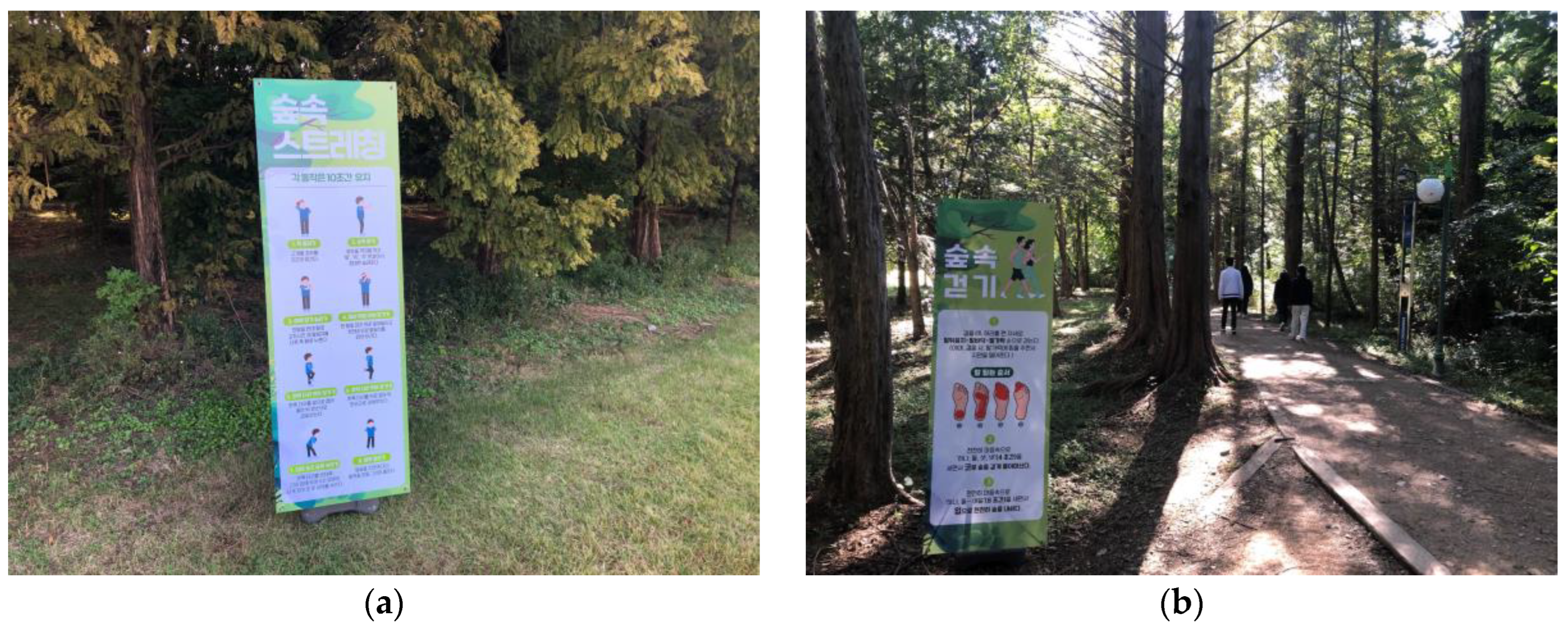 Forests 14 00336 g002