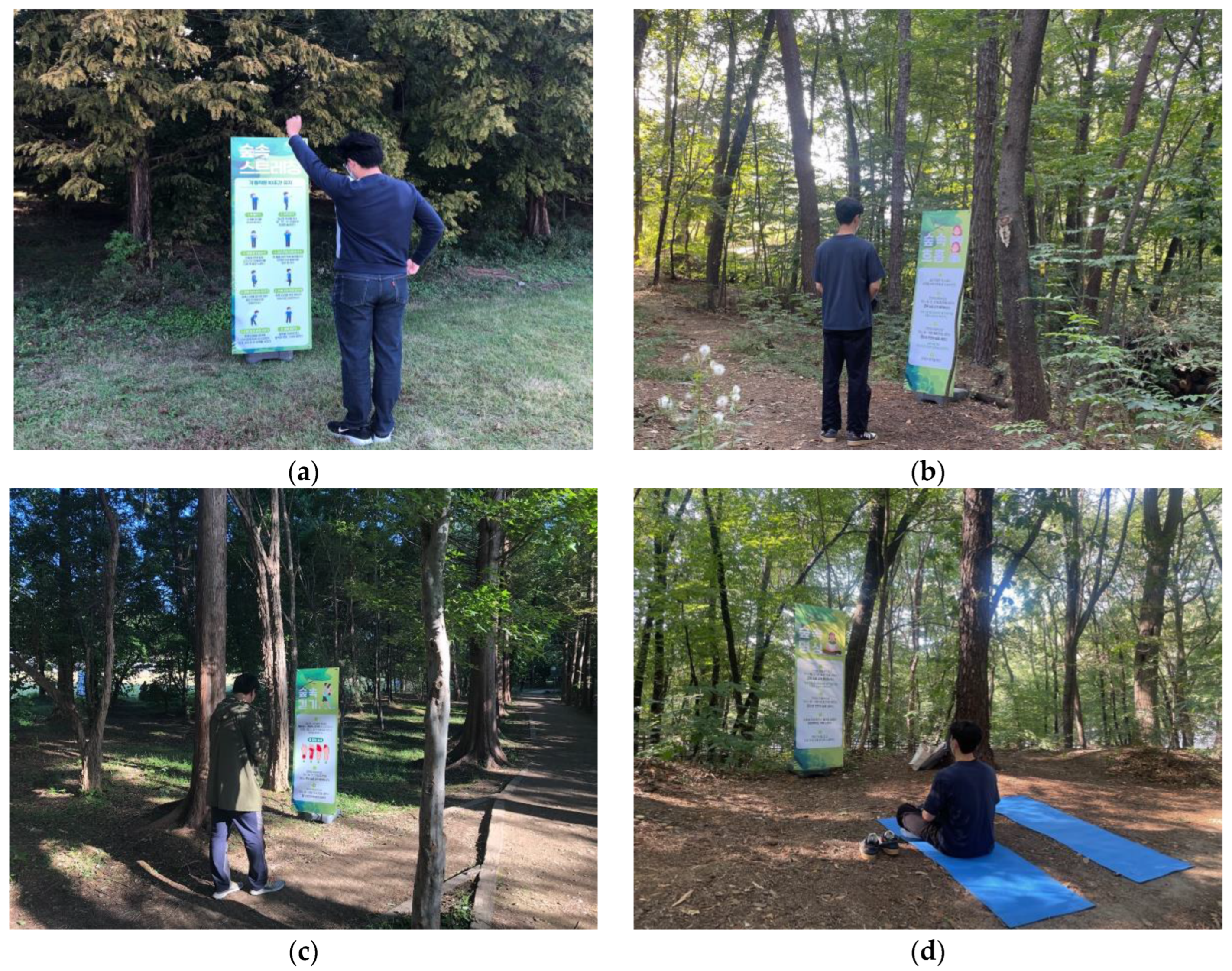 Forests 14 00336 g003