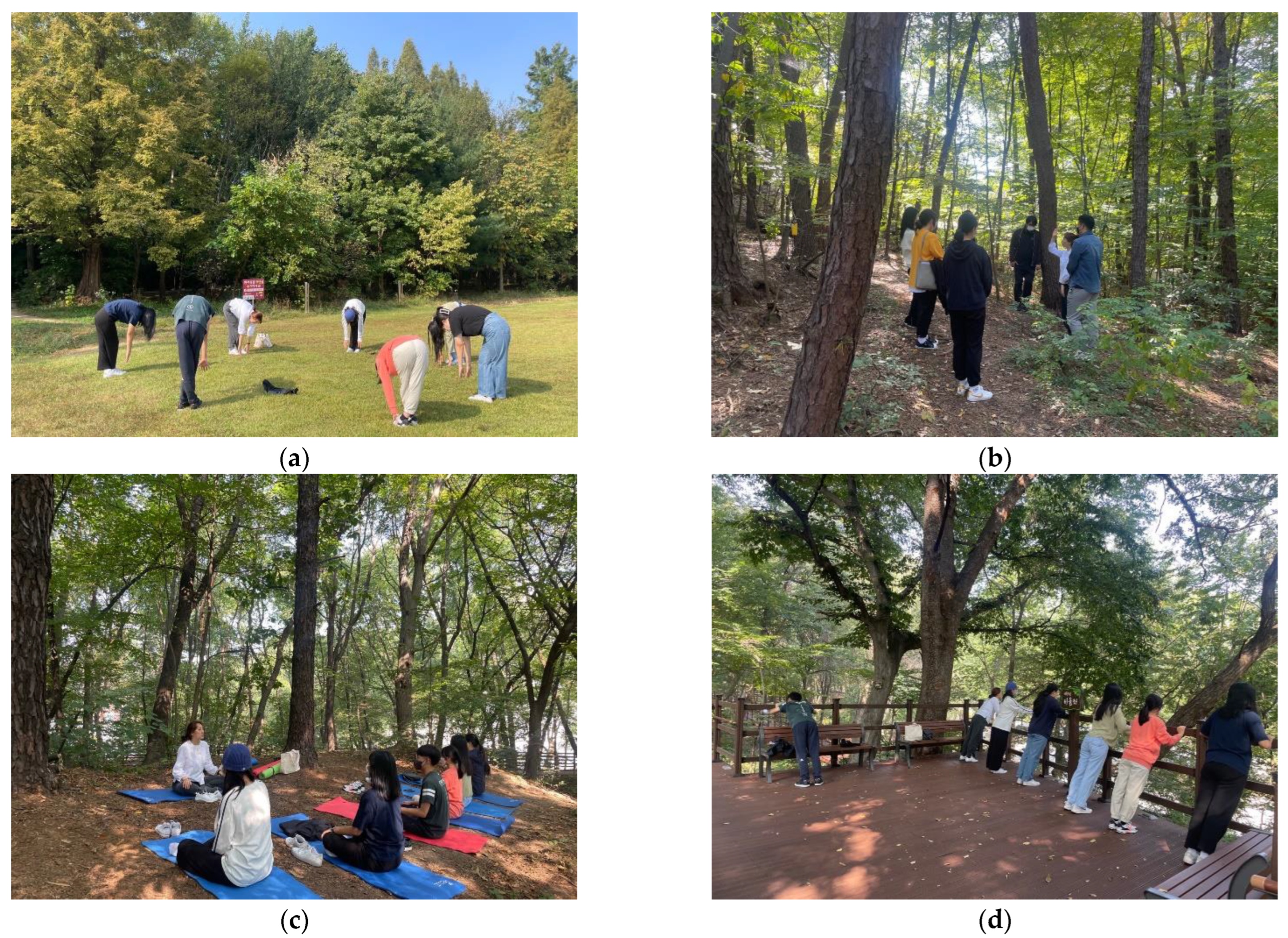 Forests 14 00336 g004