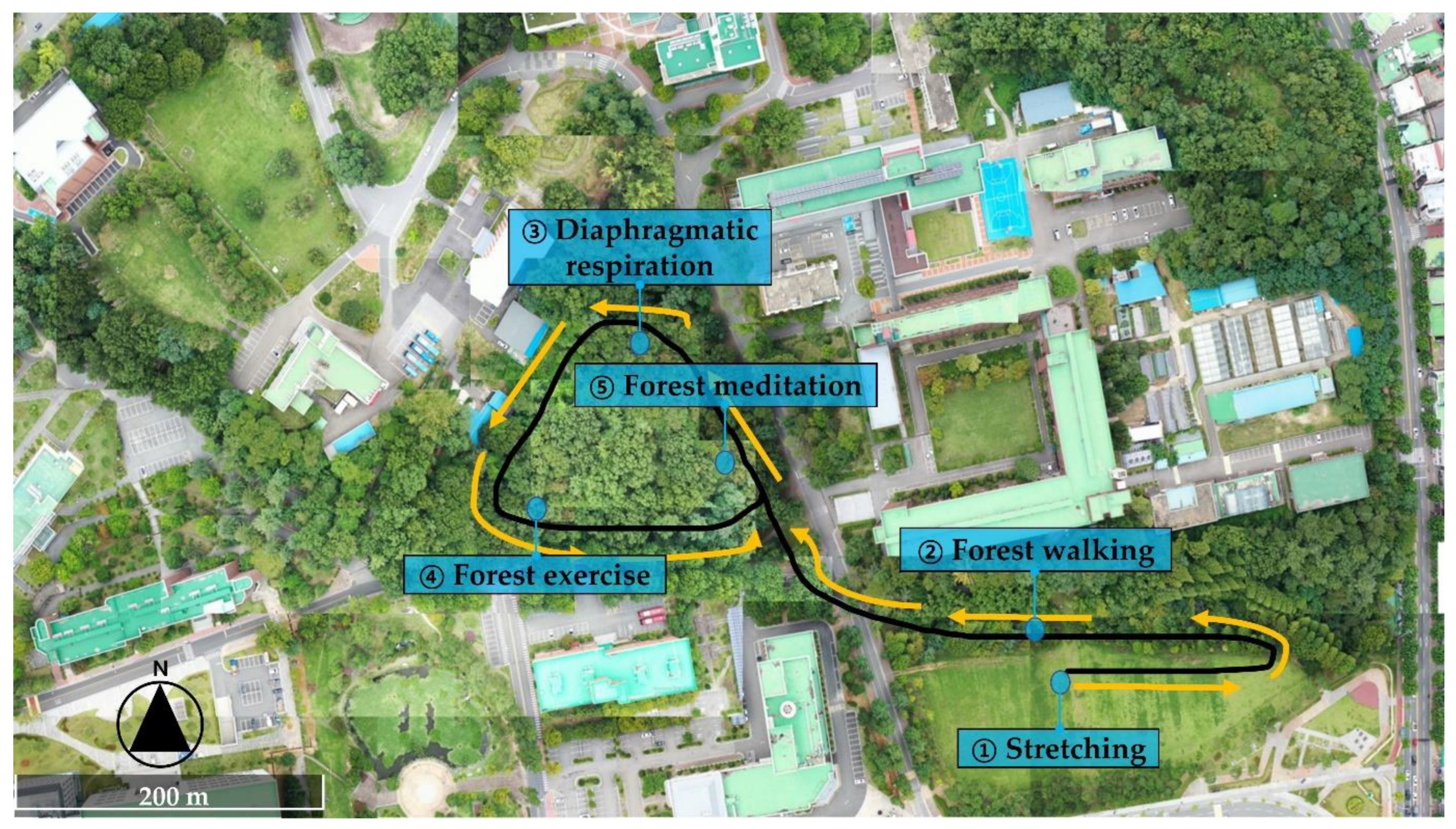 Forests 14 00336 g005