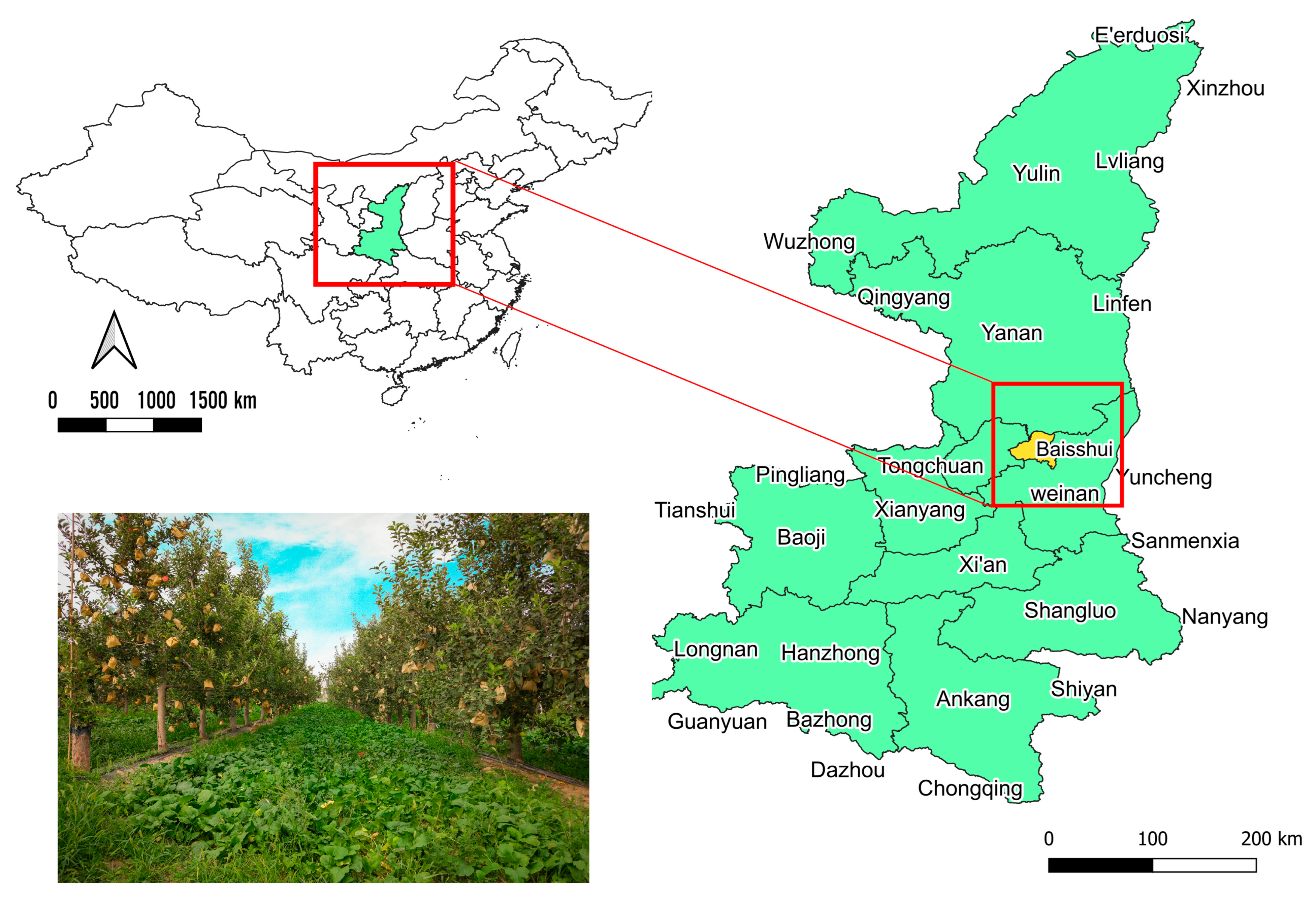 Forests | Free Full-Text | Combined Application of Organic and 