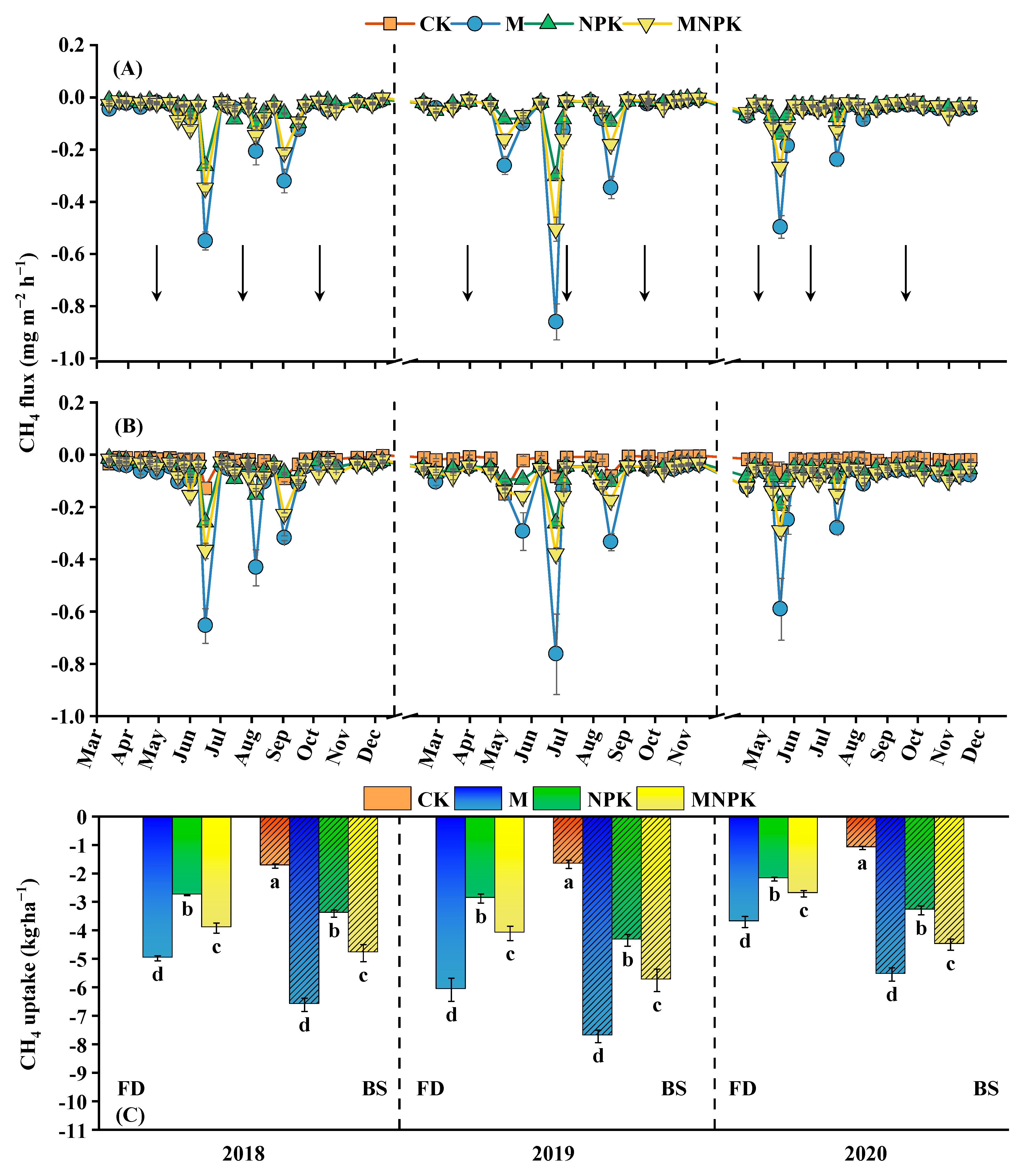 Forests 14 00337 g006
