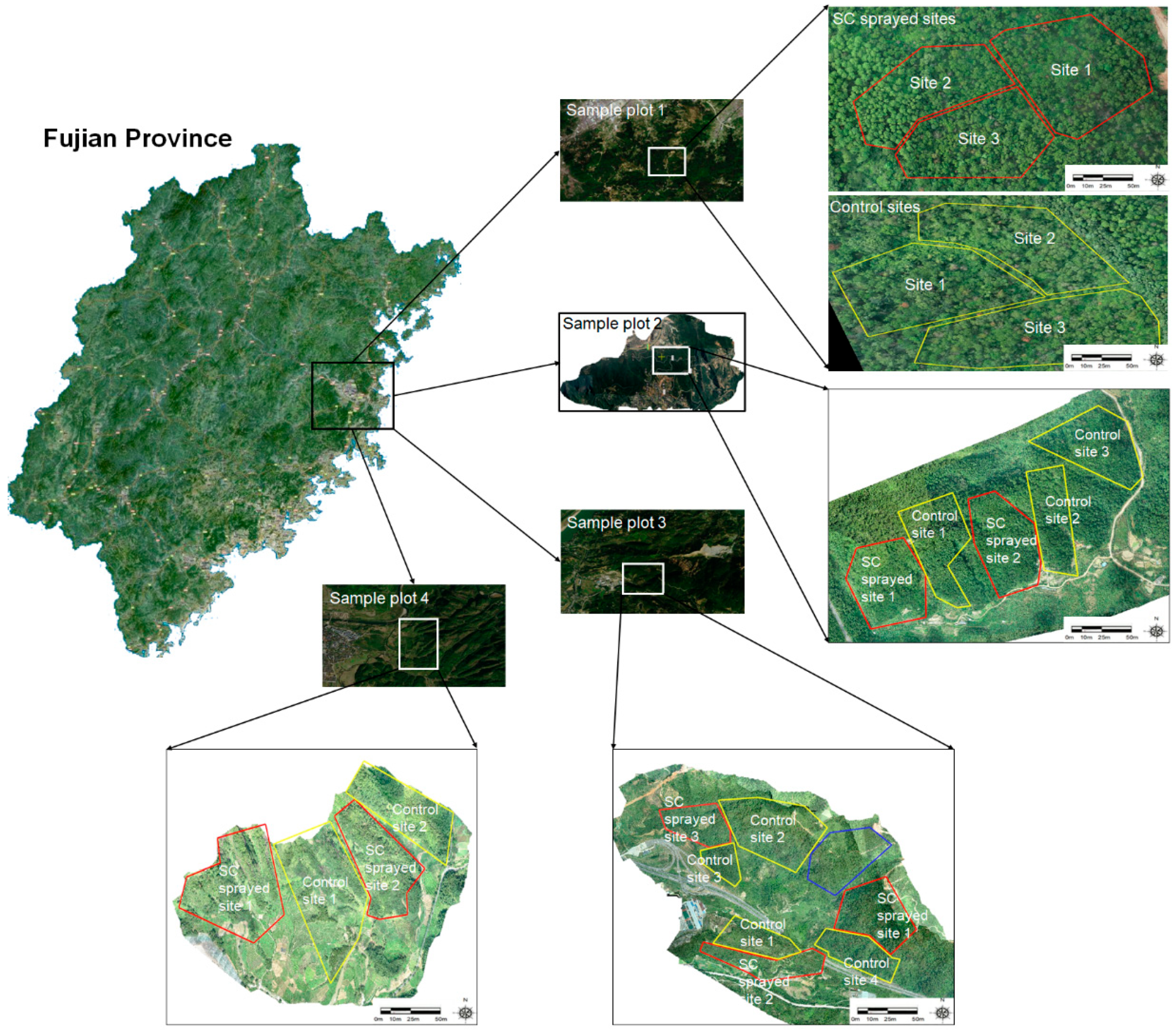 Forests 14 00338 g002 550